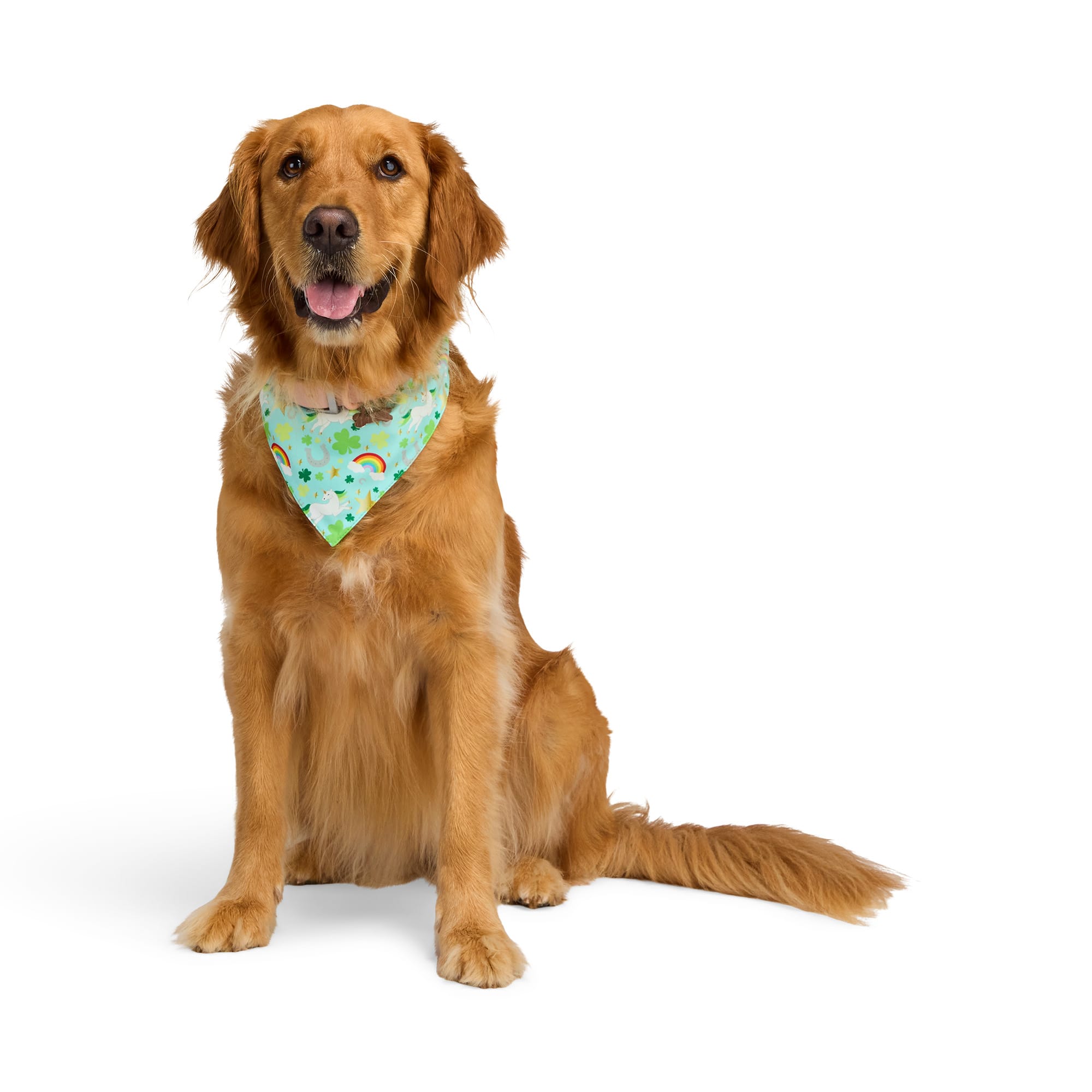 St. Patrick's Day Haustierkostüm-Set – 3-teilig, Mit Zylinder & 2 Fliegen | Verstellbar, Für Große Hunde | Grün Mit Kleeblatt-Deko