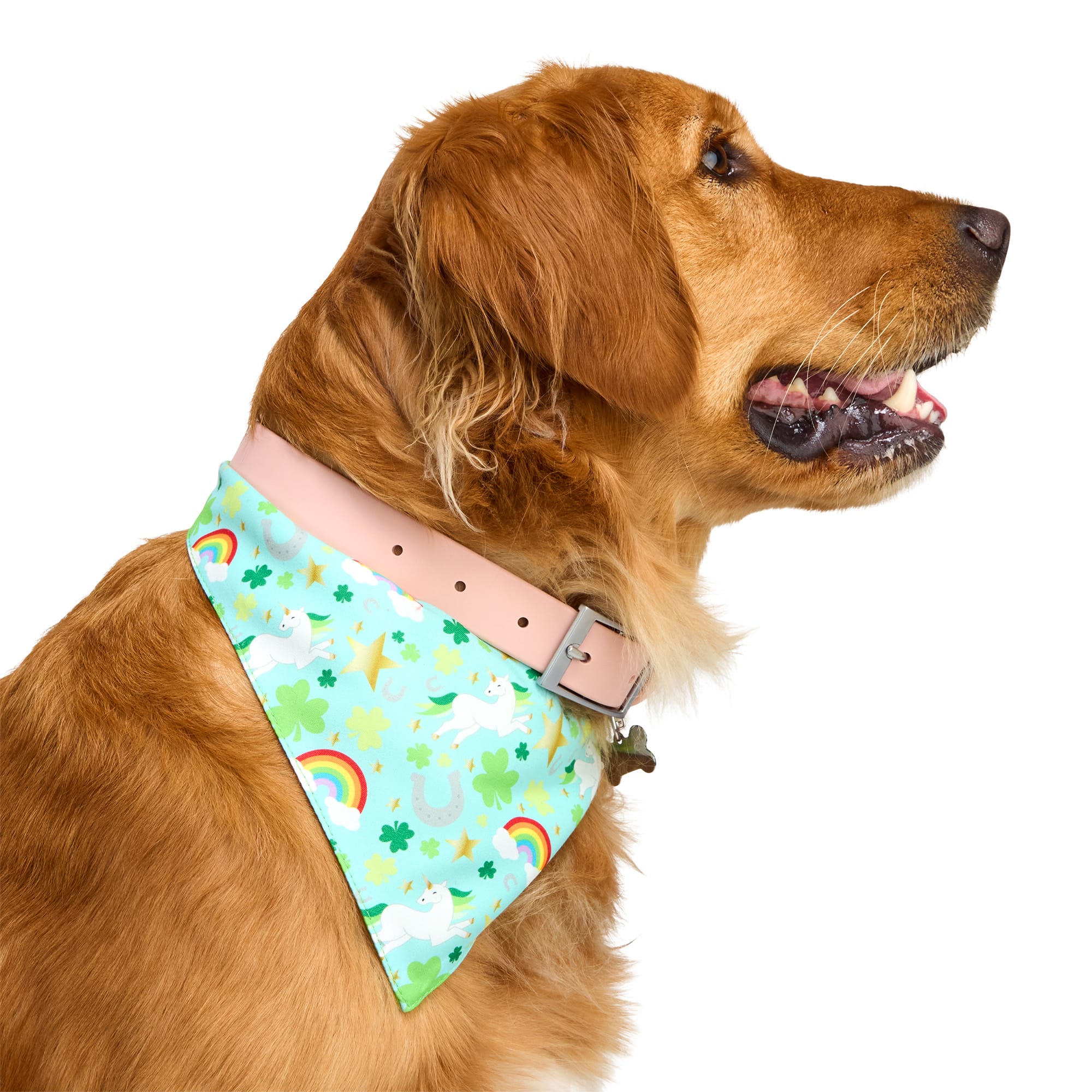 6 St. Patrick's Day Hundebandanas – Reversibel & Waschbar | Kleeblatt-Muster Für Hunde & Katzen