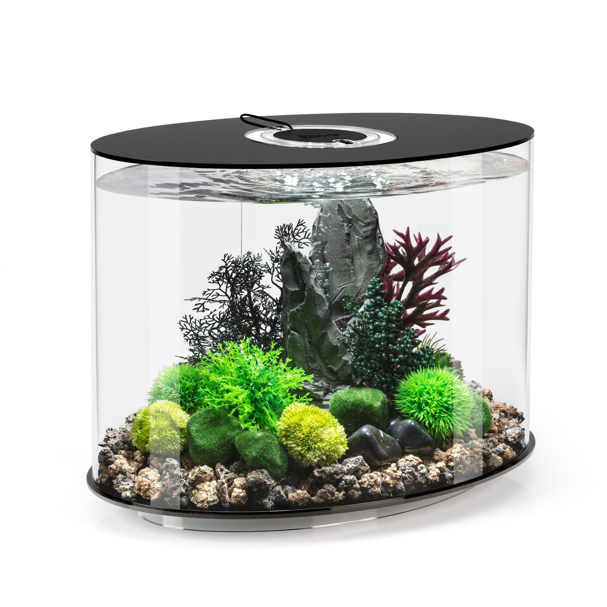 biOrb Black LOOP 30 Aquarium with Standard Light, 8 Gallon | Petco