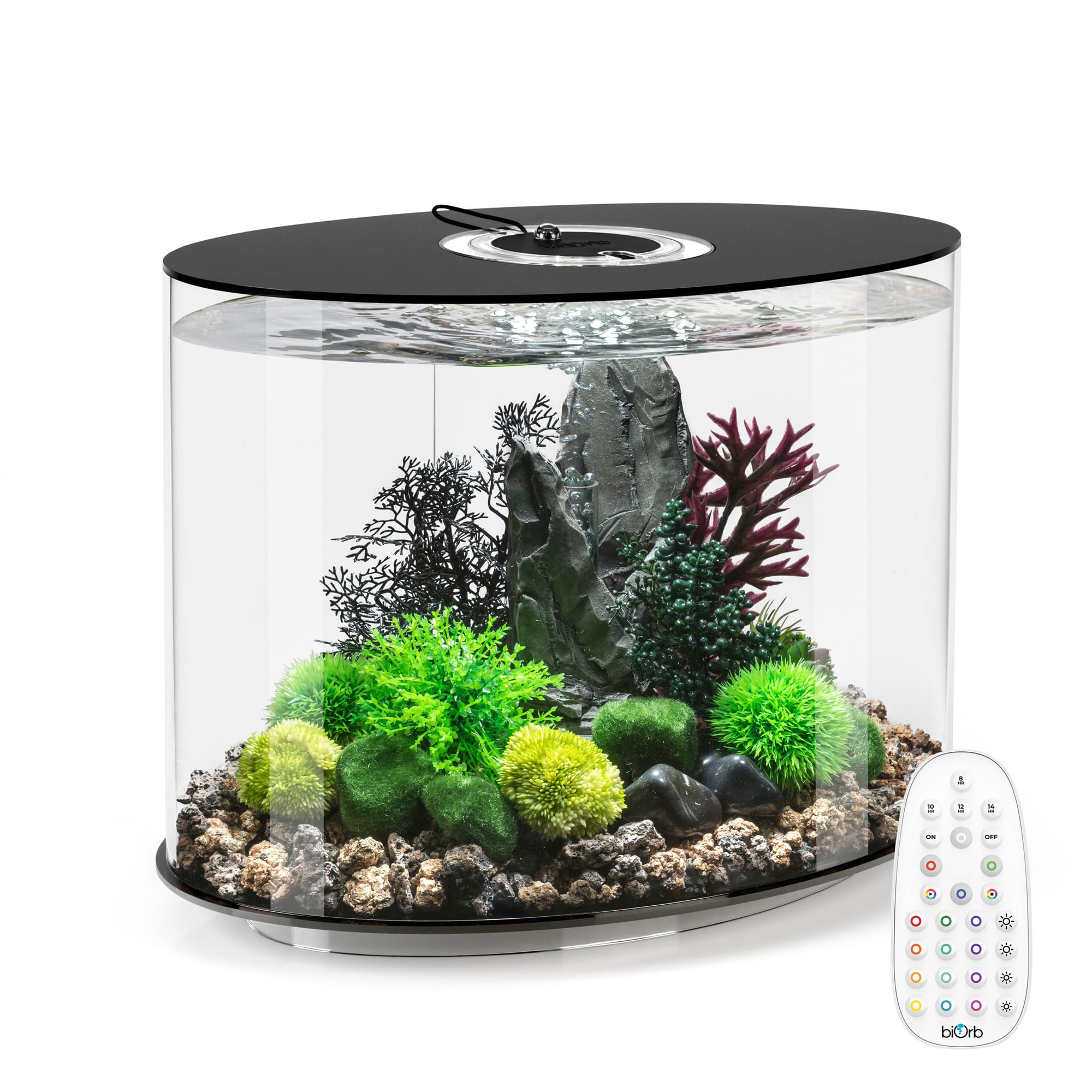 biOrb Black LOOP 30 Aquarium with MCR Light, 8 Gallon | Petco