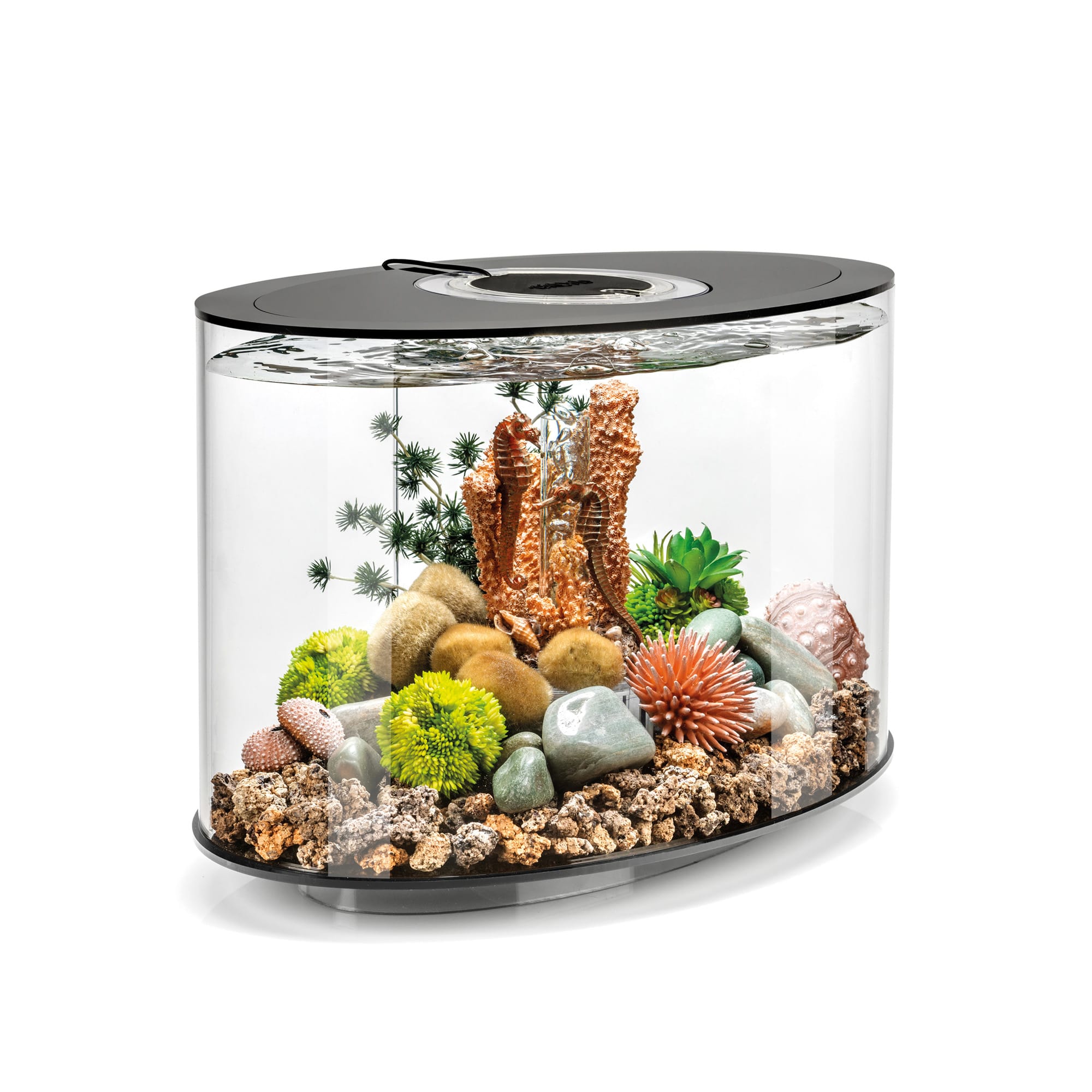 biOrb Black LOOP 15 Aquarium with Standard Light, 4 Gallon | Petco