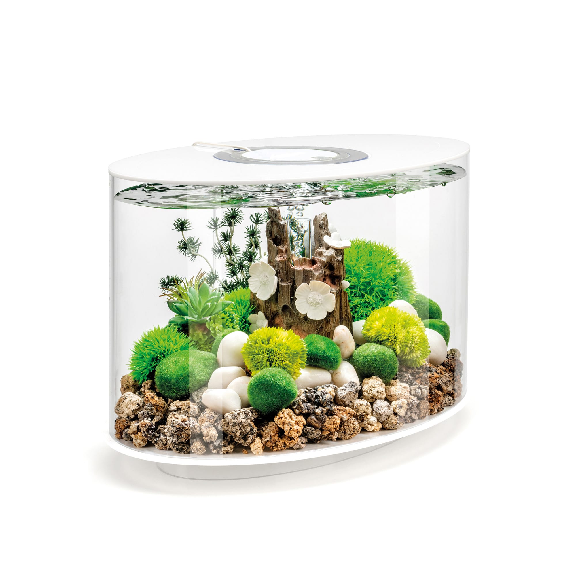 biOrb White LOOP 15 Aquarium with Standard Light, 4 Gallon | Petco