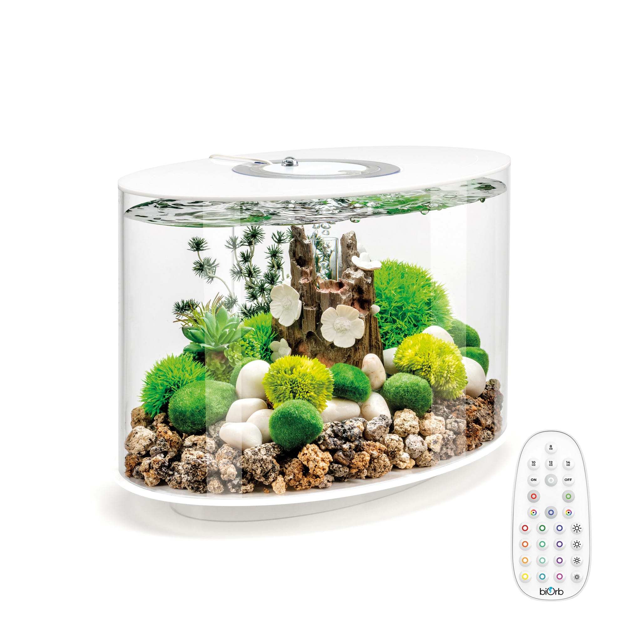 biOrb White LOOP 15 Aquarium with MCR Light, 4 Gallon | Petco