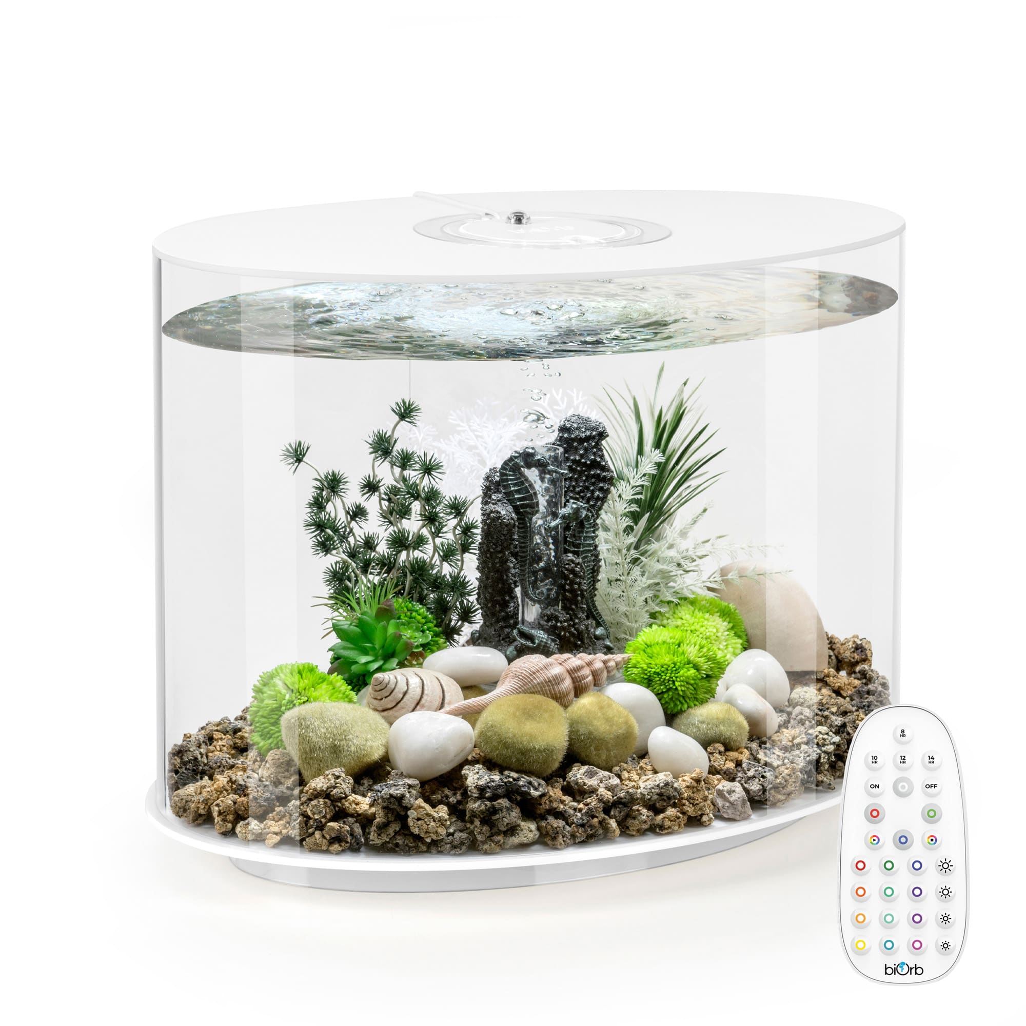 biOrb White LOOP 30 Aquarium with MCR Light, 8 Gallon | Petco