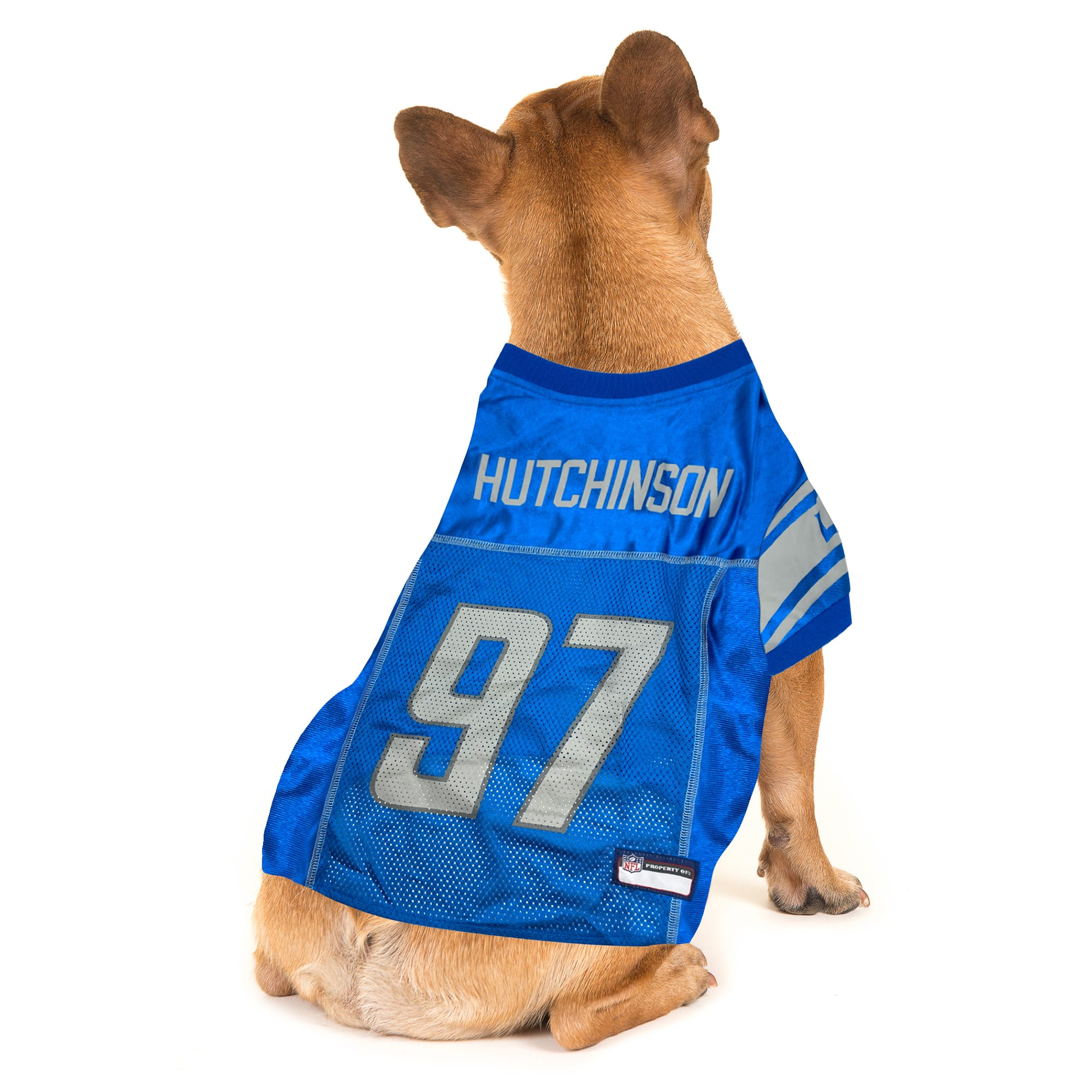 Pets First Aidan Hutchinson Pet Jersey, XSmall, Detroit Lions Petco