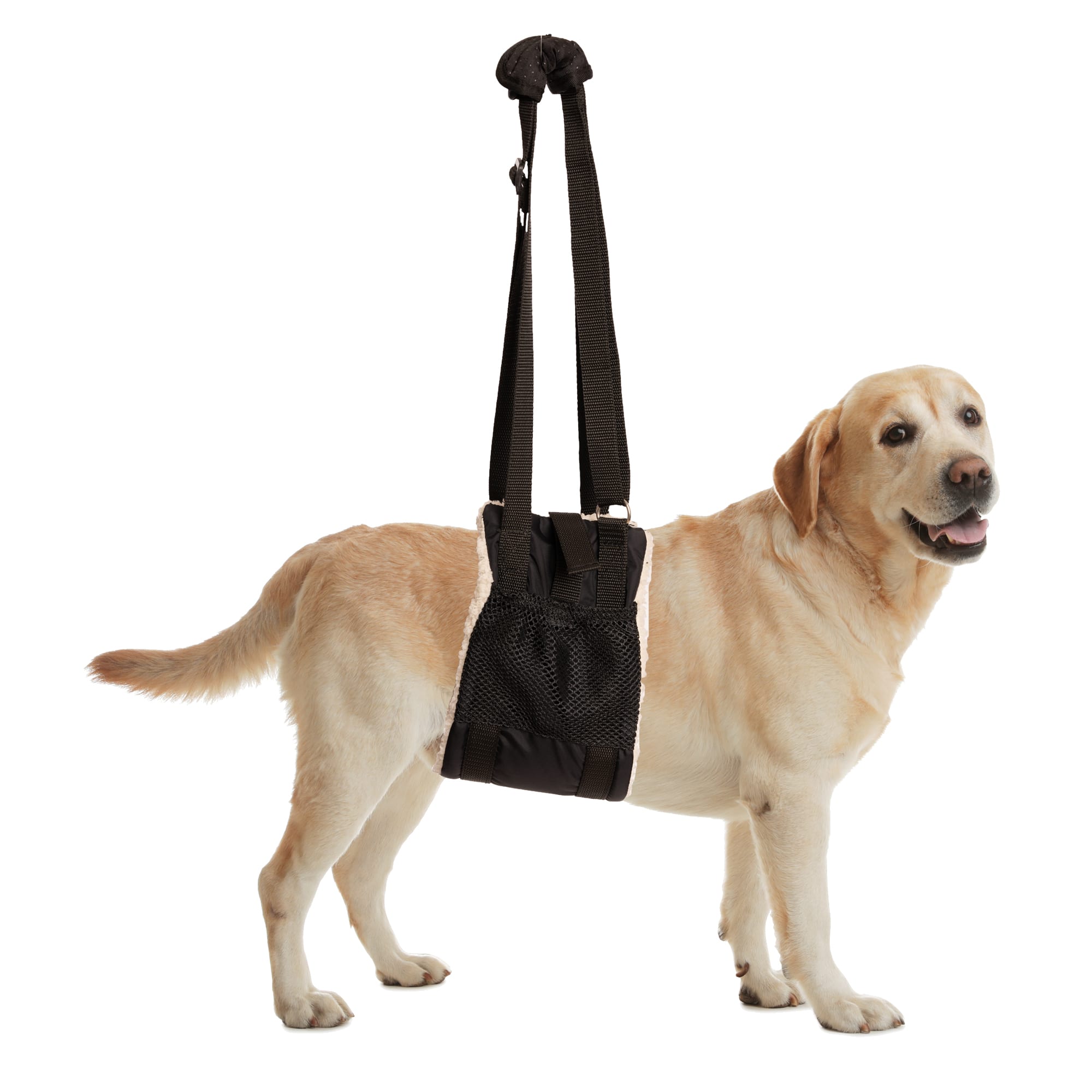 Pet vest support system support sling best sale