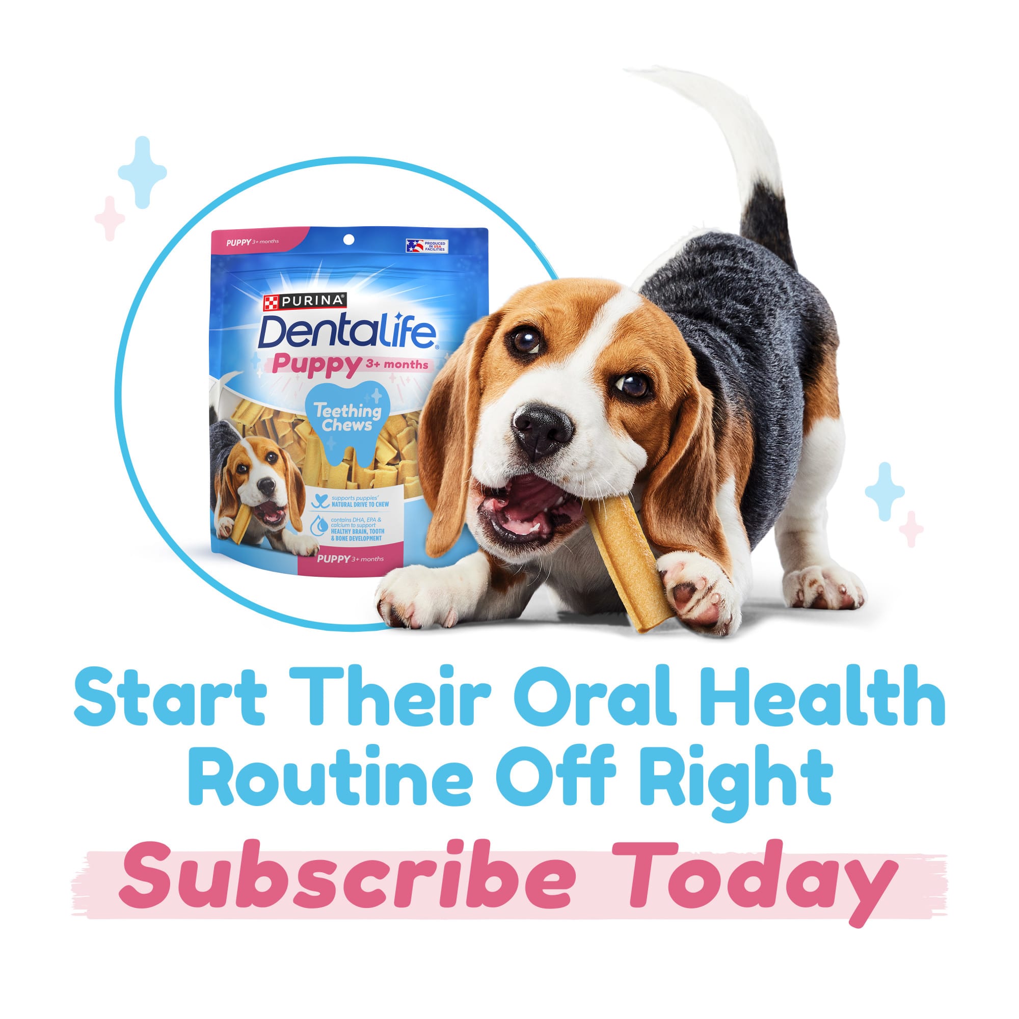 DentaLife Puppy Teething Chicken Flavor Dog Chews for Small Dogs