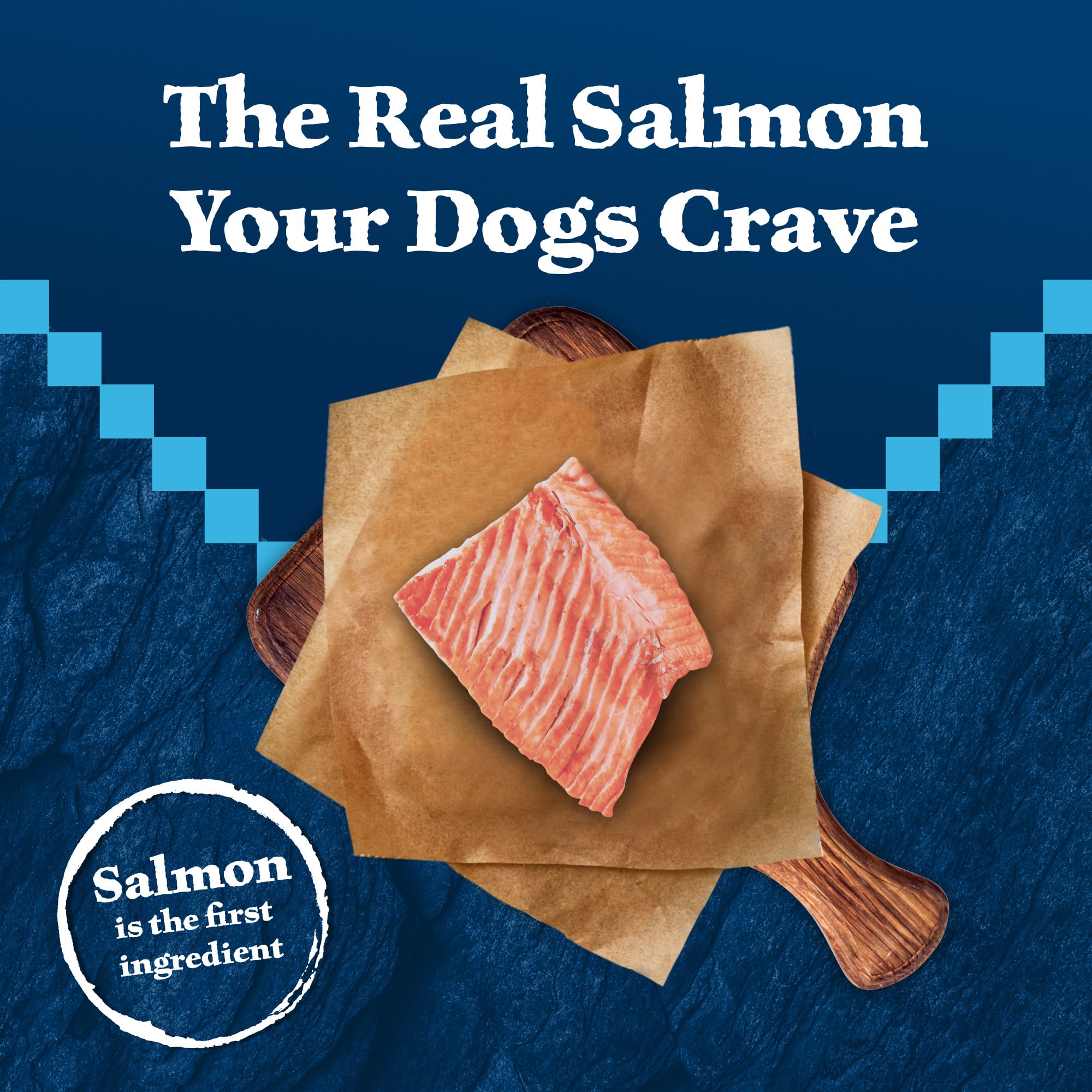 Blue Buffalo Wilderness Salmon & Grains Large Breed Food, 24 lbs. | Petco