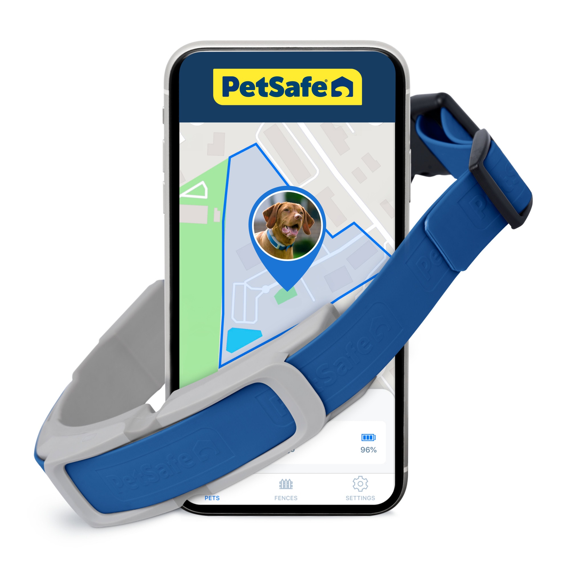 PetSafe Guardian GPS + Tracking Dog Fence Collar | Petco