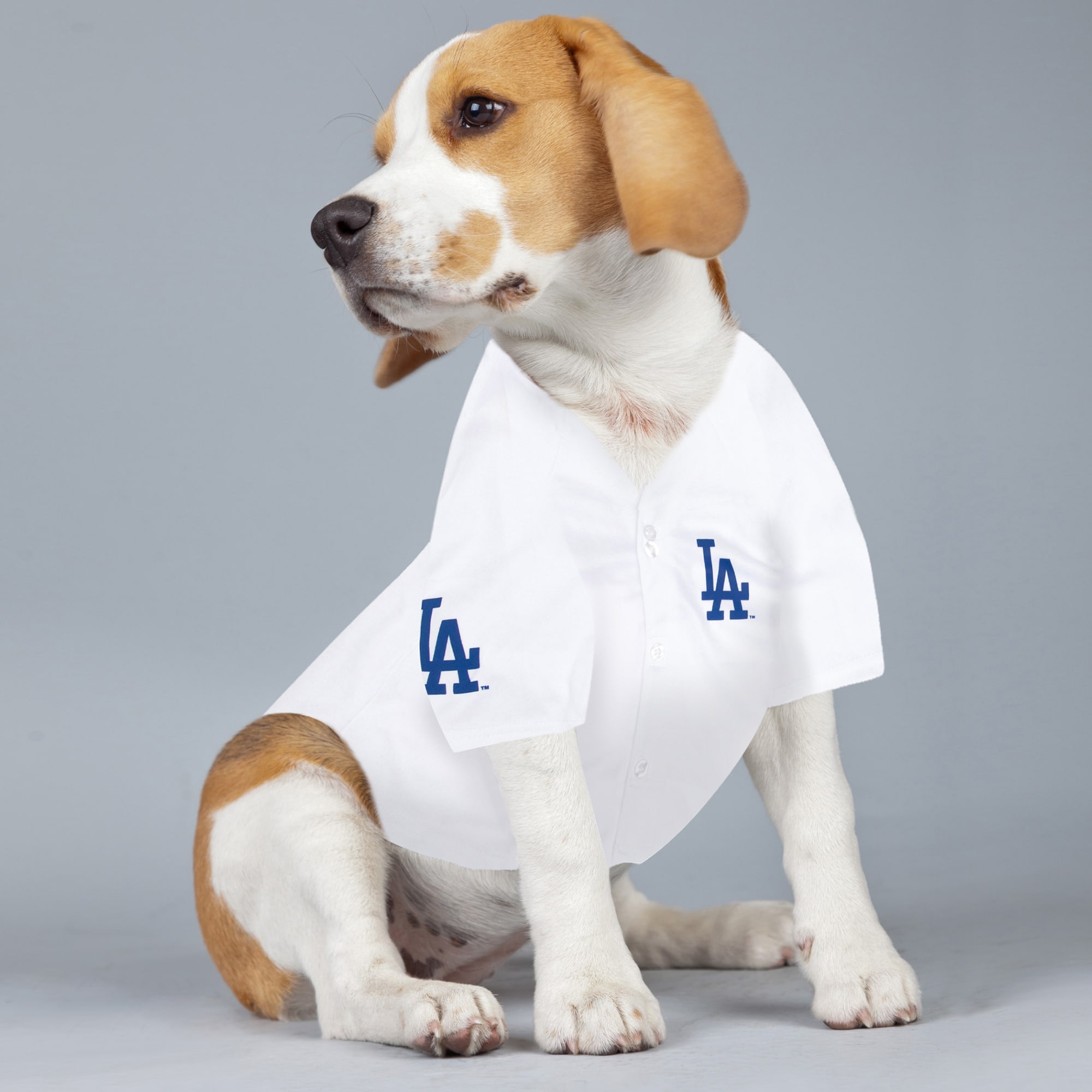 Dog Dodgers Jersey Small Sporty K9 MLB Los Angeles Dodgers Baseball Dog  Jersey, White