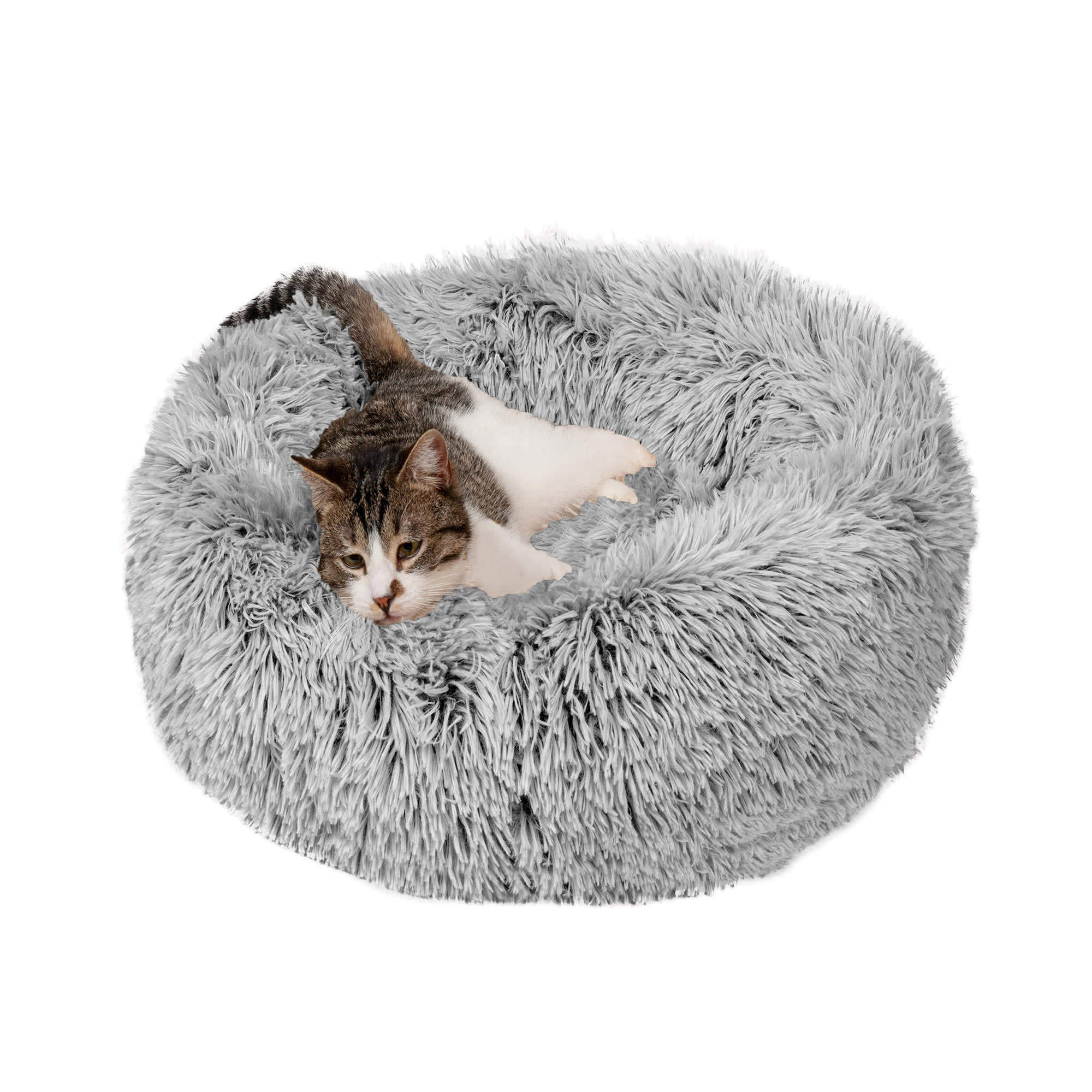 Best Small Dog Beds