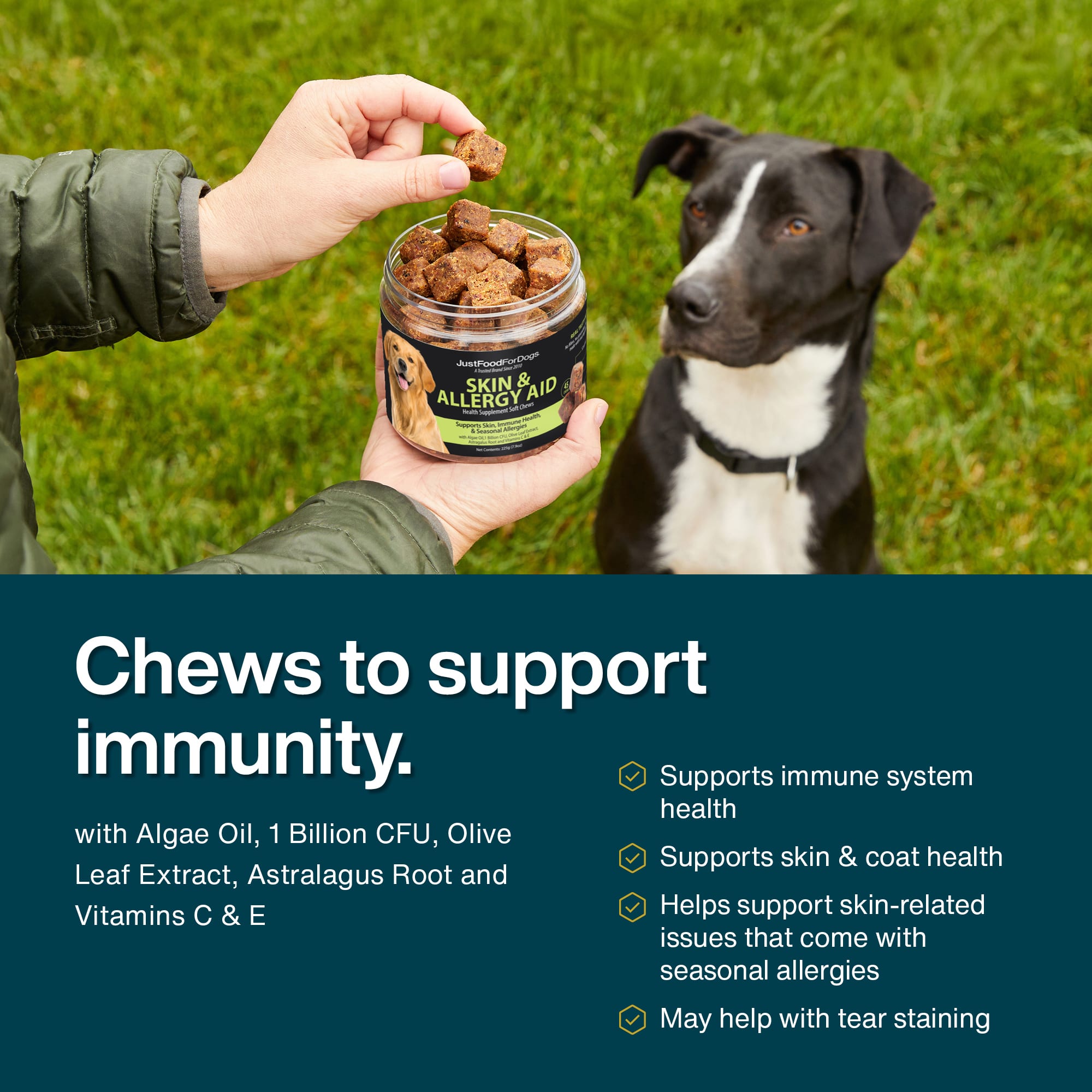 JustFoodForDogs Skin & Allergy Aid Health Supplement Soft Chews