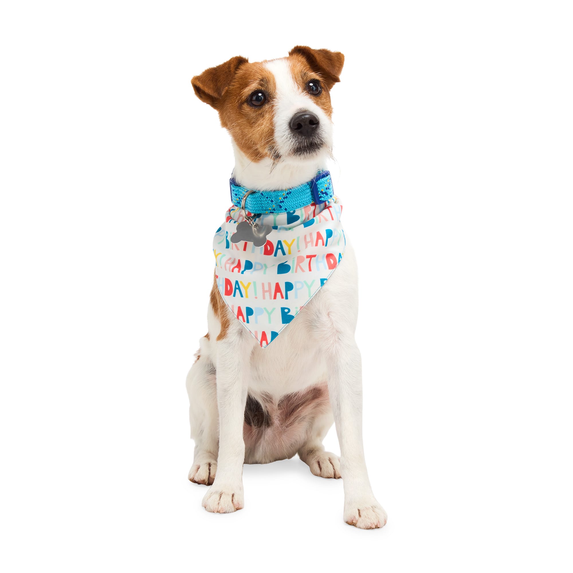 YOULY Birthday Dog Bandana, Small/Medium, Blue/White Petco