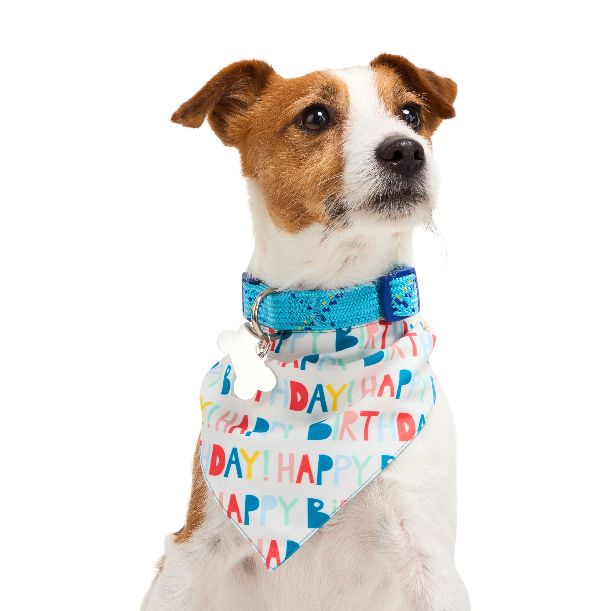 YOULY Birthday Dog Bandana, Small/Medium, Blue/White Petco