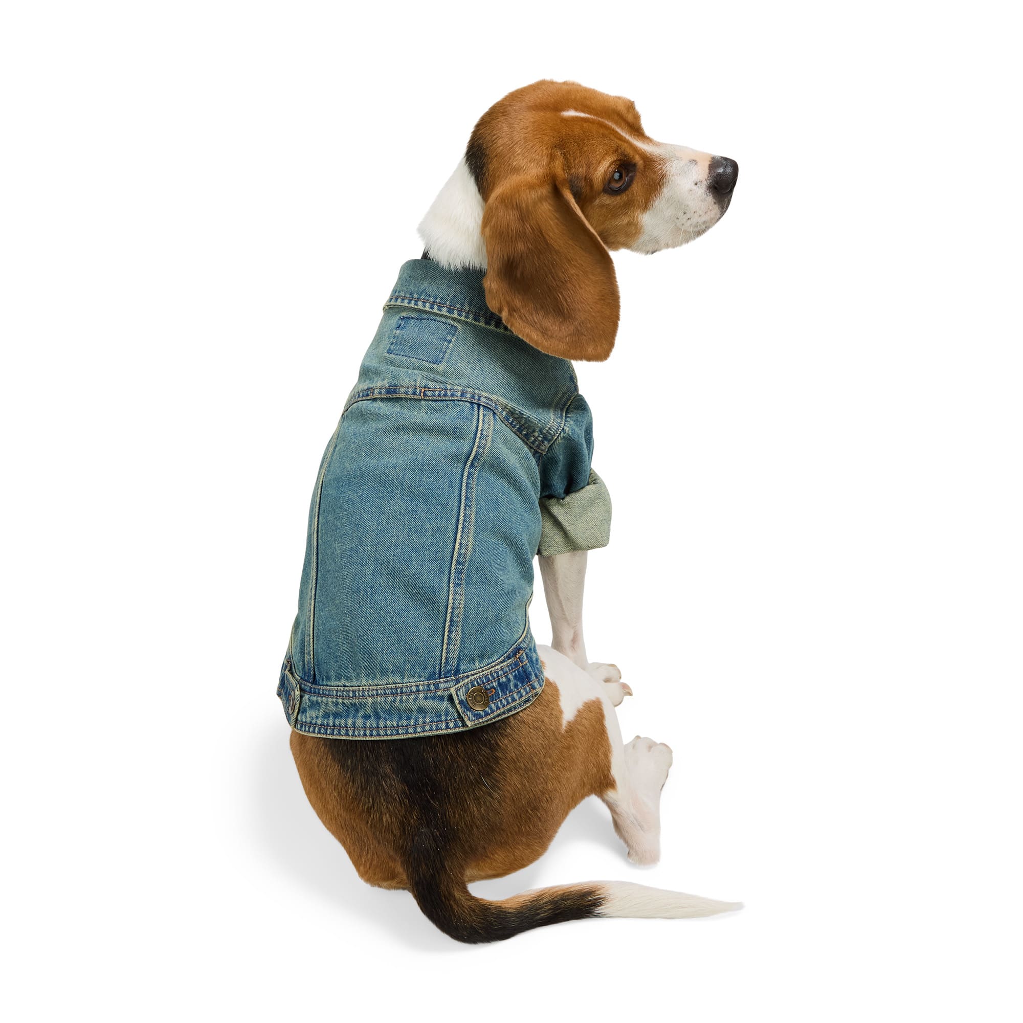 Dog Clothes Dachshund Denim Jacket Reddy Icon Denim Dog Jacket, X