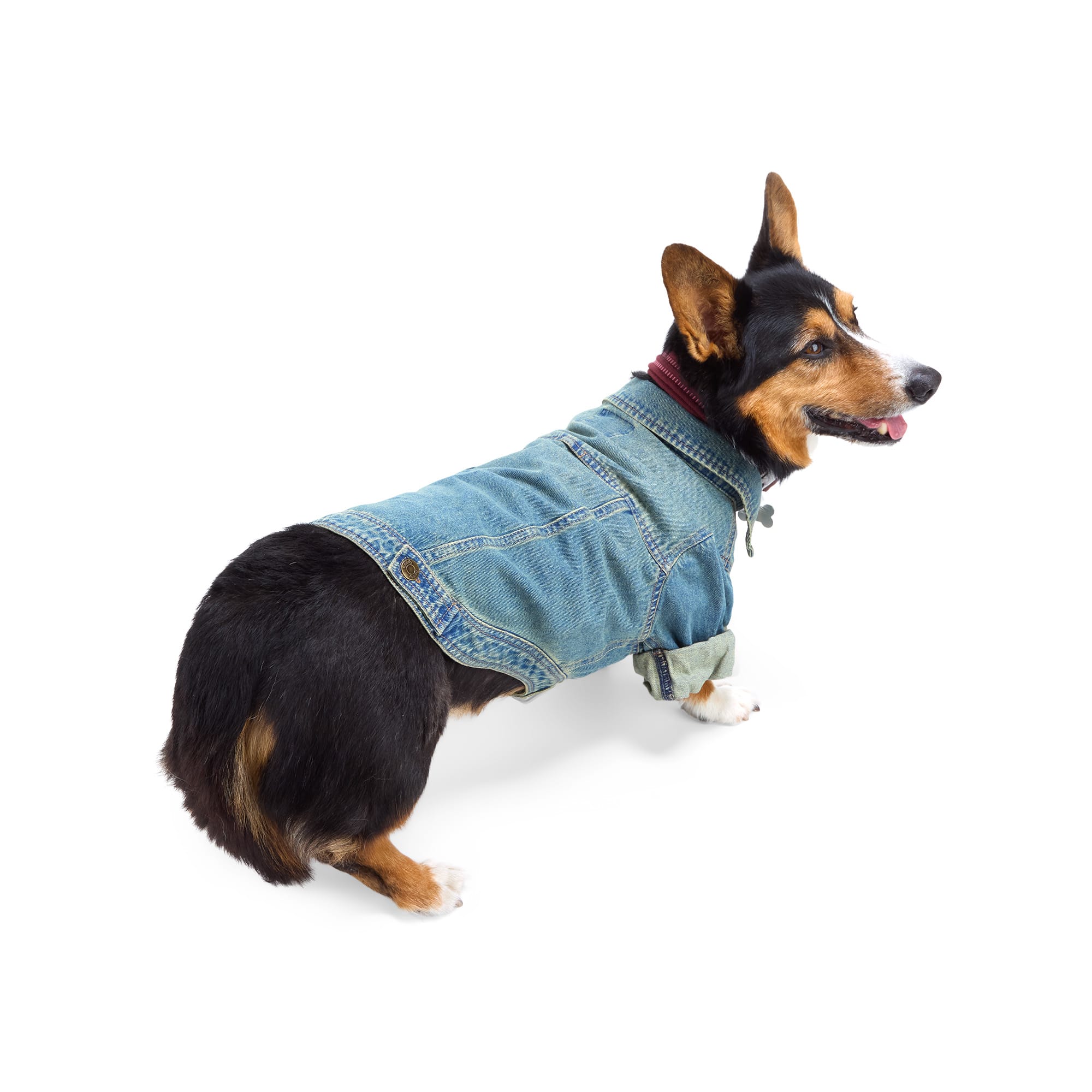 Reddy Icon Denim Dog Jacket, X-Small Petco