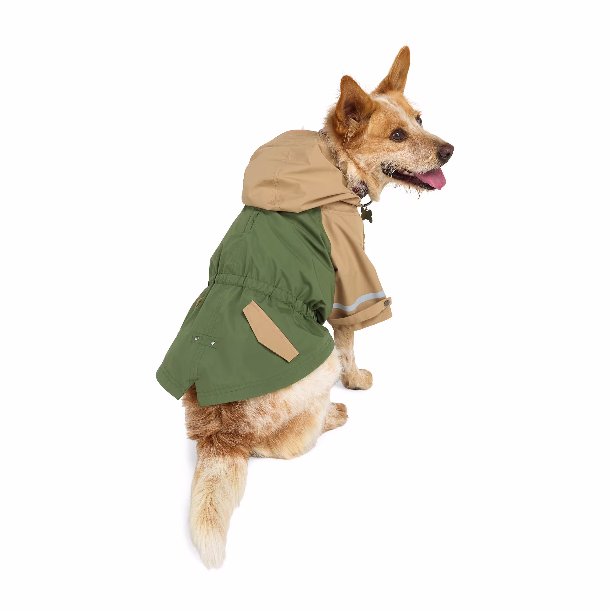 Corduroy Jacket Reddy Dog Windbreaker Reddy Fitted Dog Rain