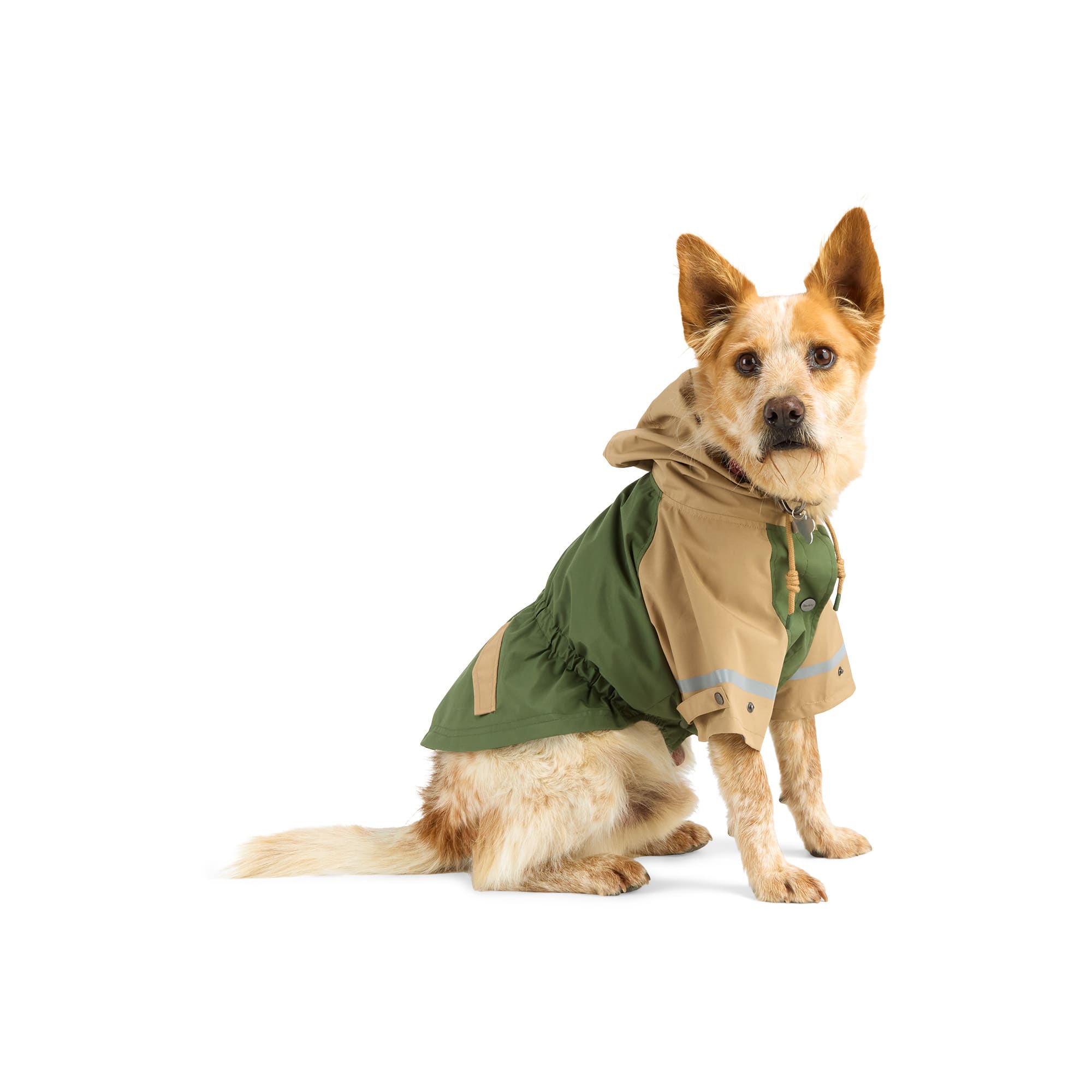 Rain Coats Reddy Dog Windbreaker Dog Rain Jacket Medium Blue