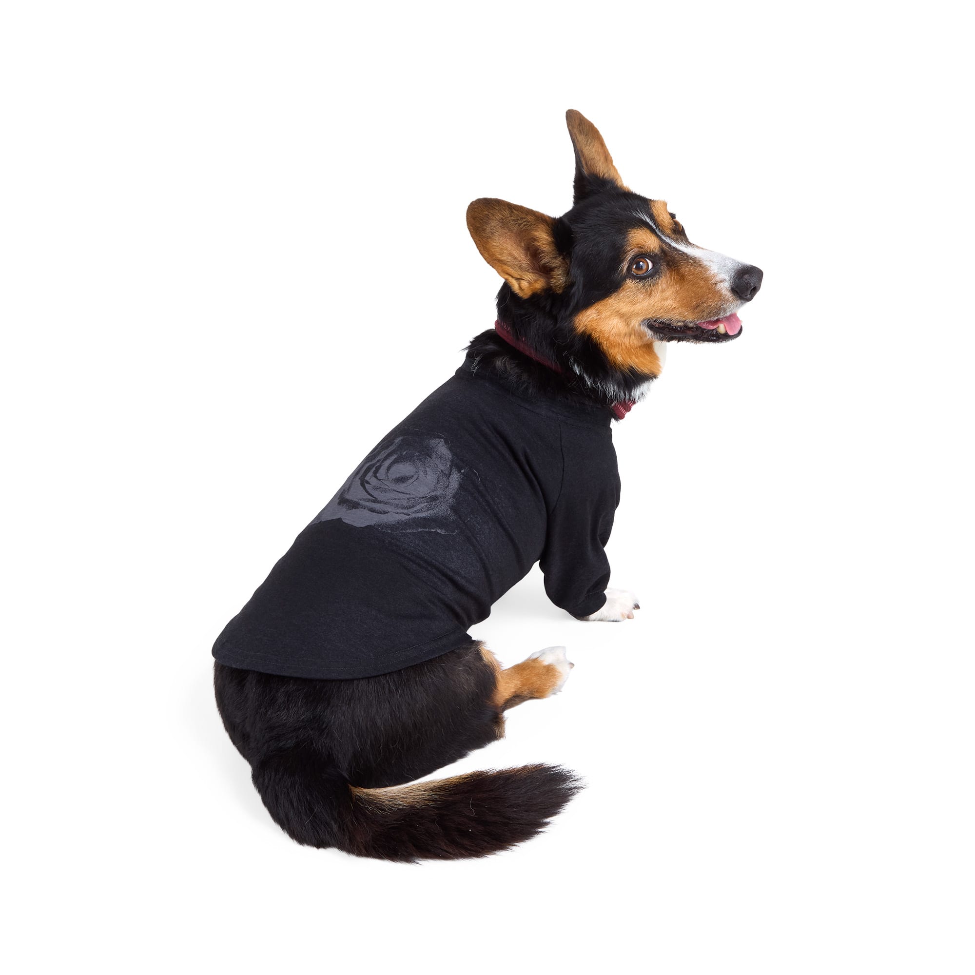 Reddy Rose Dog Tee, Washed Black, Large