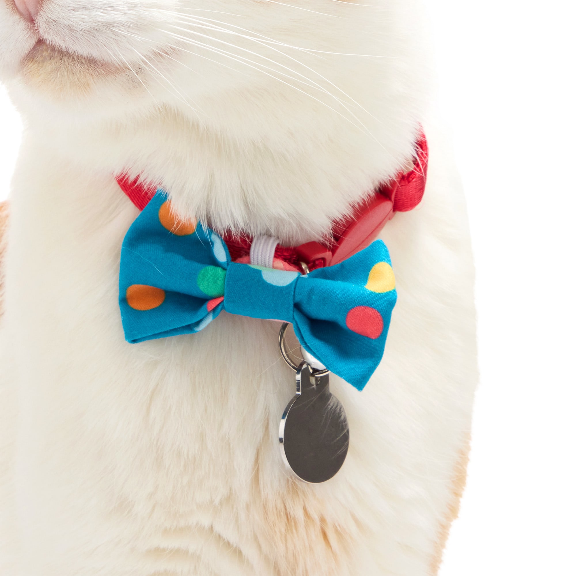 YOULY Birthday Cat Hat and Bowtie Set, Small/Medium, Blue Petco