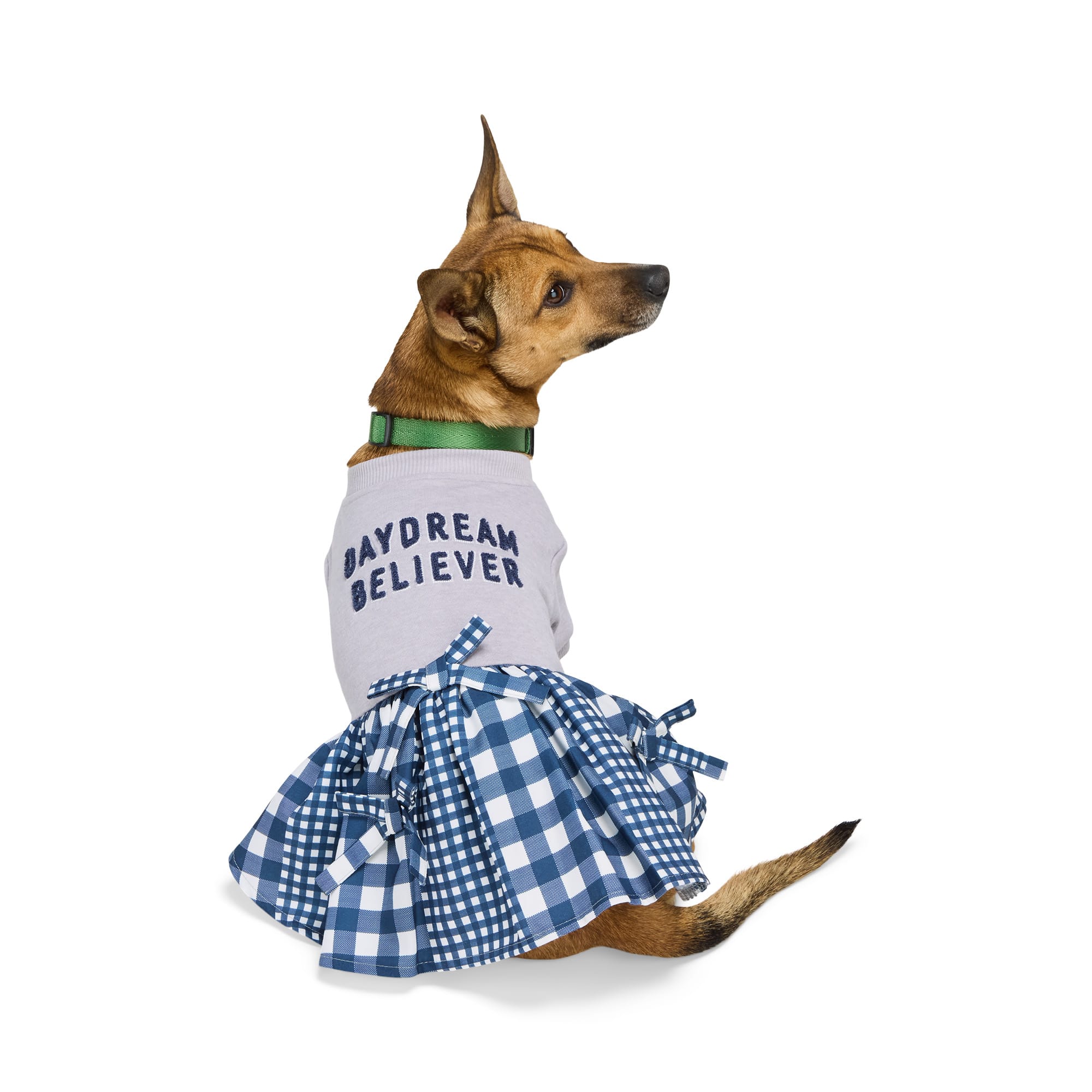 Daydream Believer Mini Dress main image 1