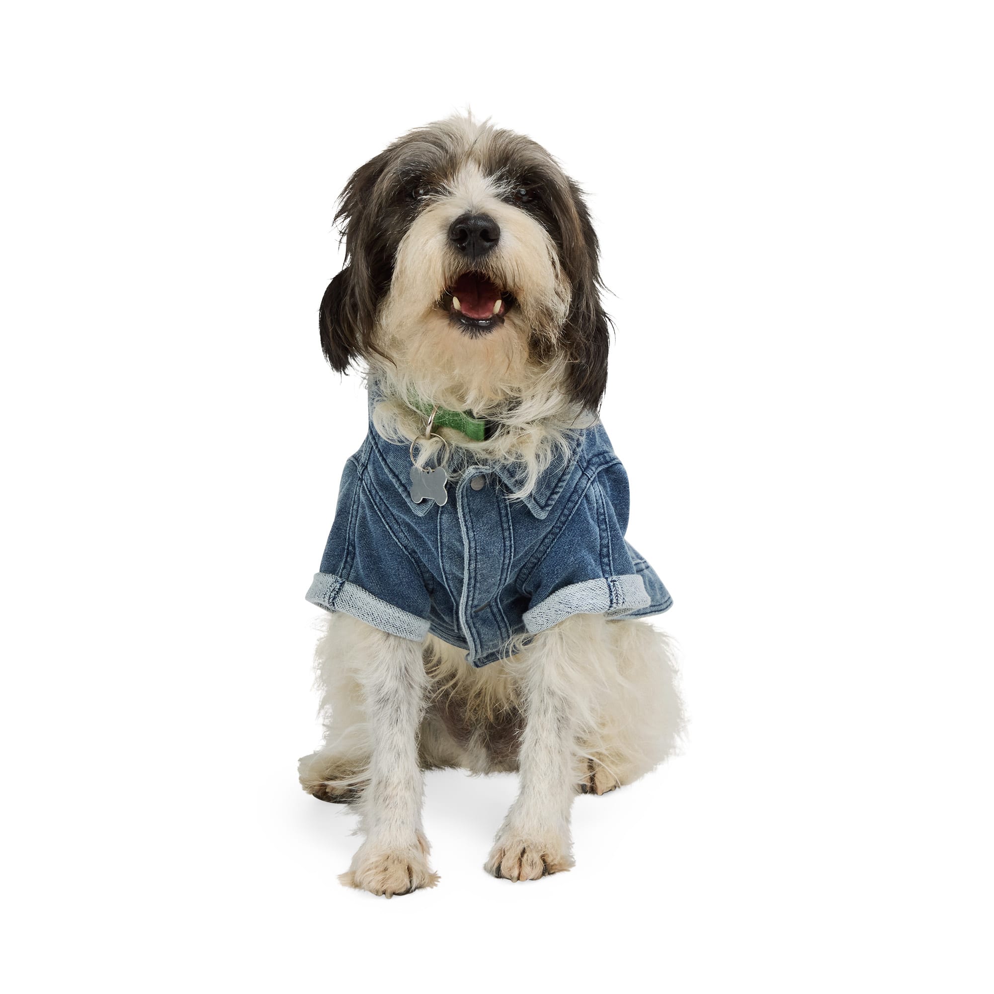 YOULY Denim Pet Jacket, XX-Small | Petco