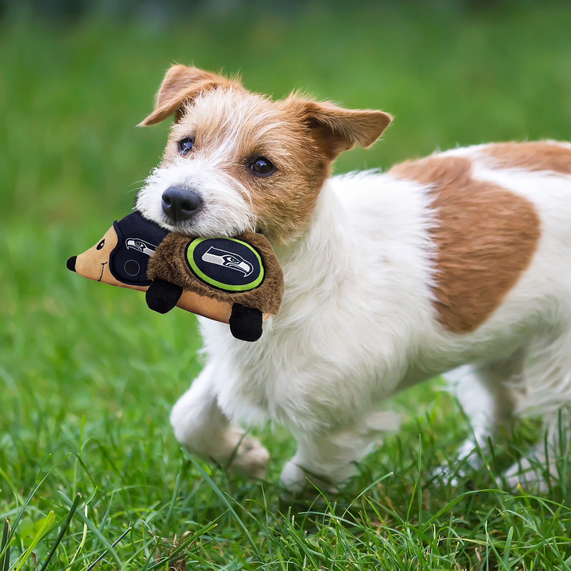 vibrating hedgehog dog toy Hedgehog faball® Dog Toy main image 0