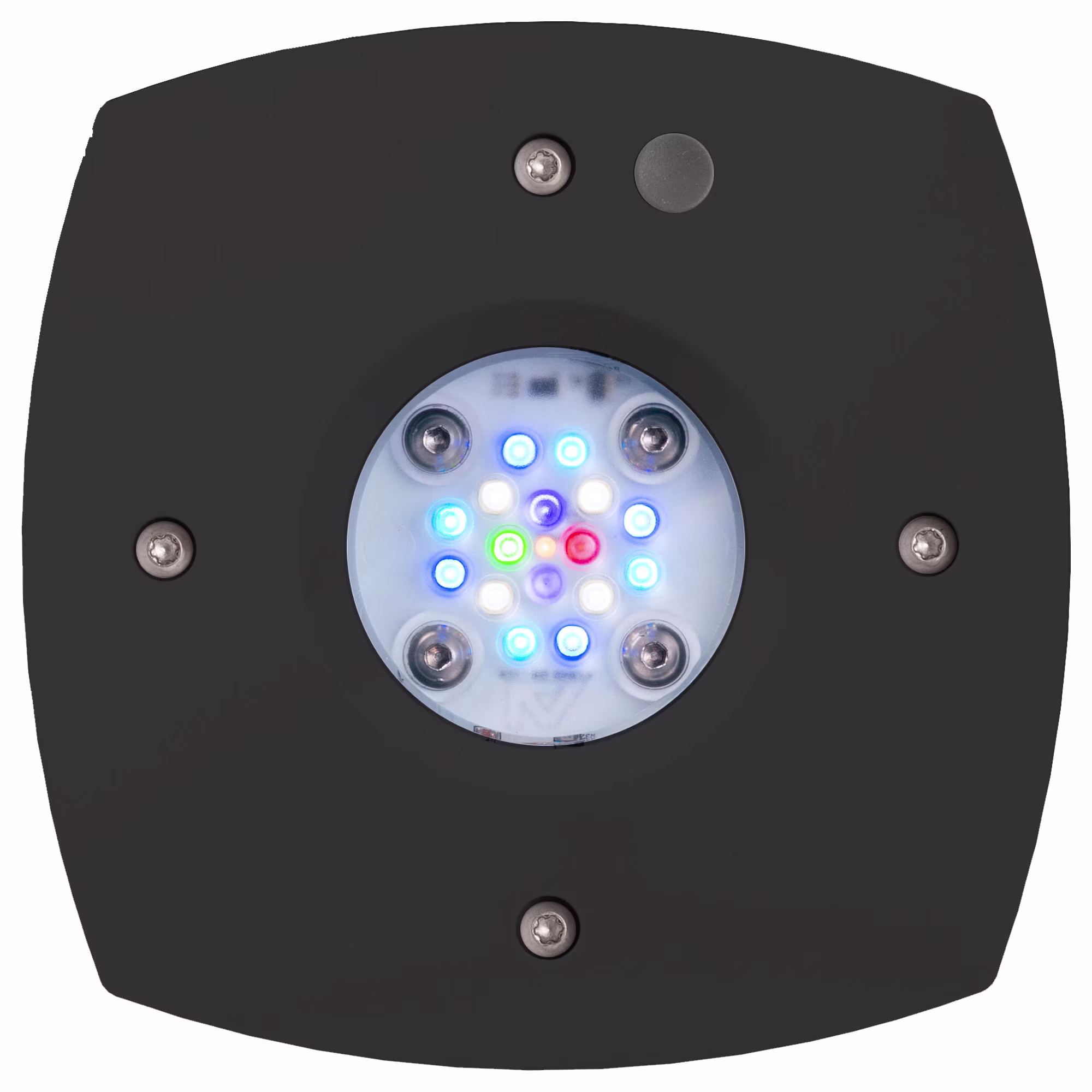 AQUAILLUMINATION Black Body Prime 16 HD LED Reef Light | Petco
