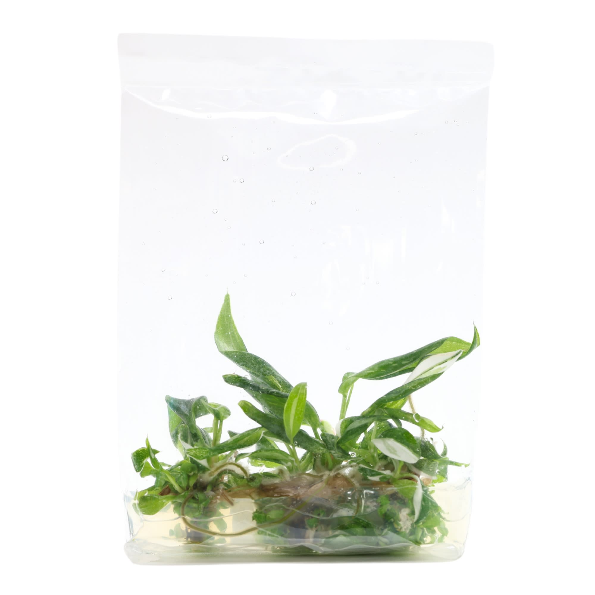 large outdoor planters pots Patio Planter main image 0