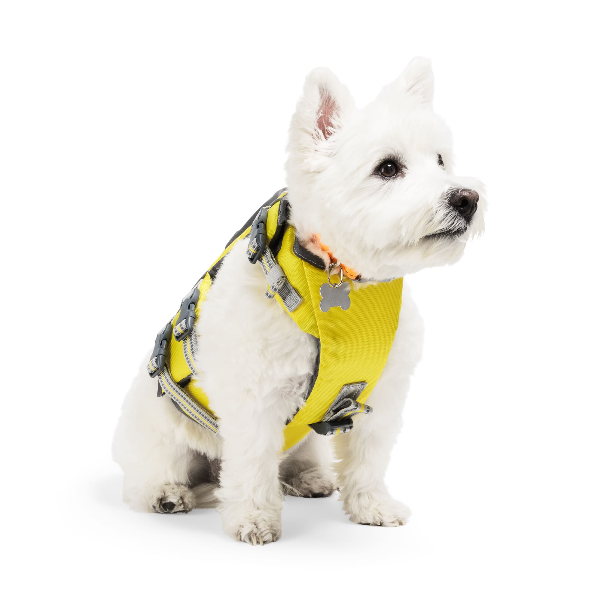 YOULY Ultimate Dog Floatation Vest, Yellow, X-Small Petco