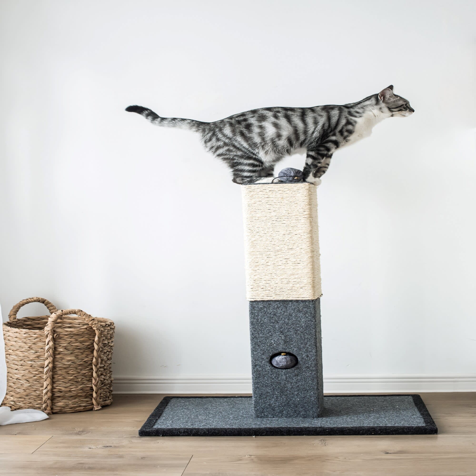 Catry Cat Bed With Scratching Post - Minimalist Cat Tree With Cozy Plush Bed & Sisal Scratching Mat