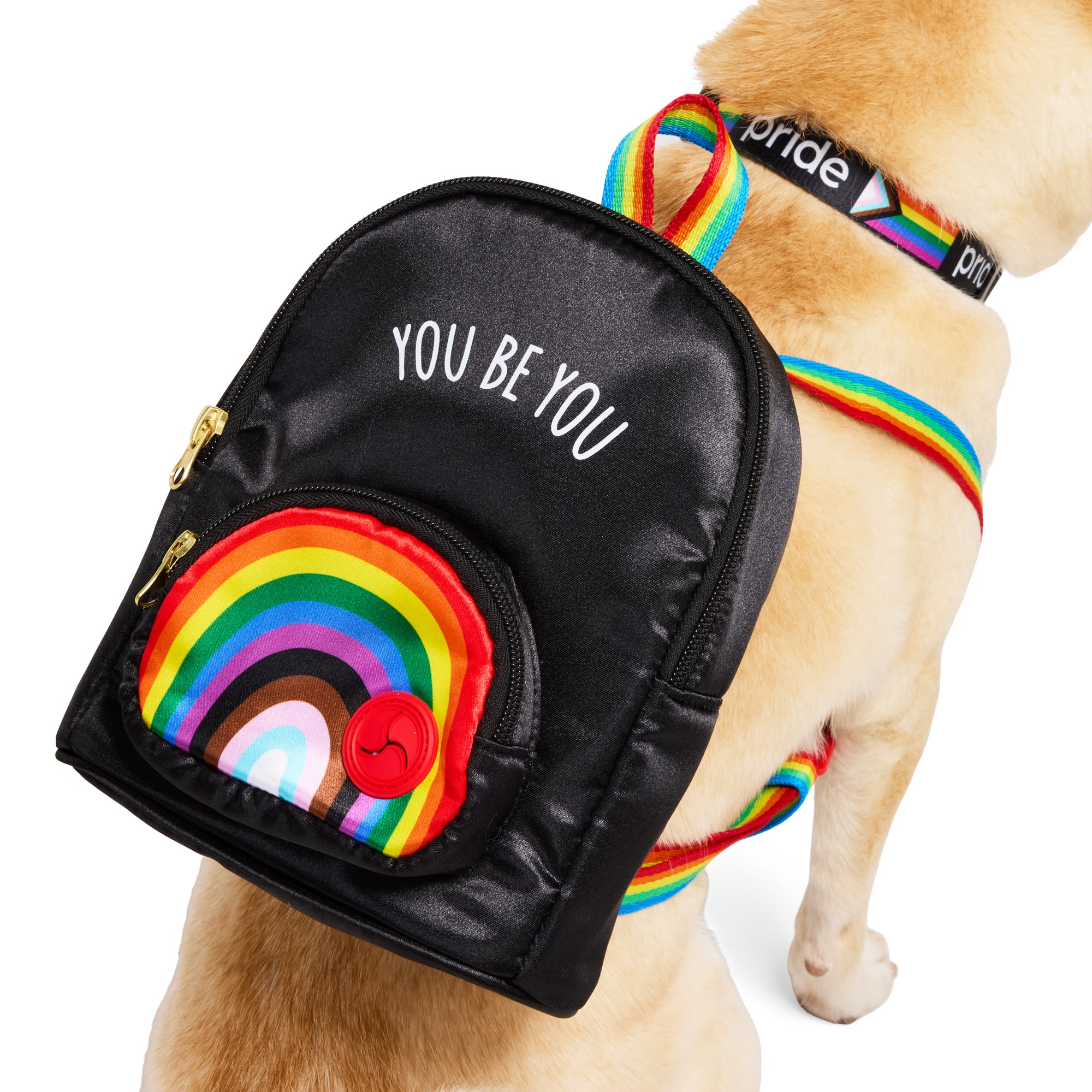 YOULY Pride Pet Backpack, Black/Rainbow, X-Small/Small Petco