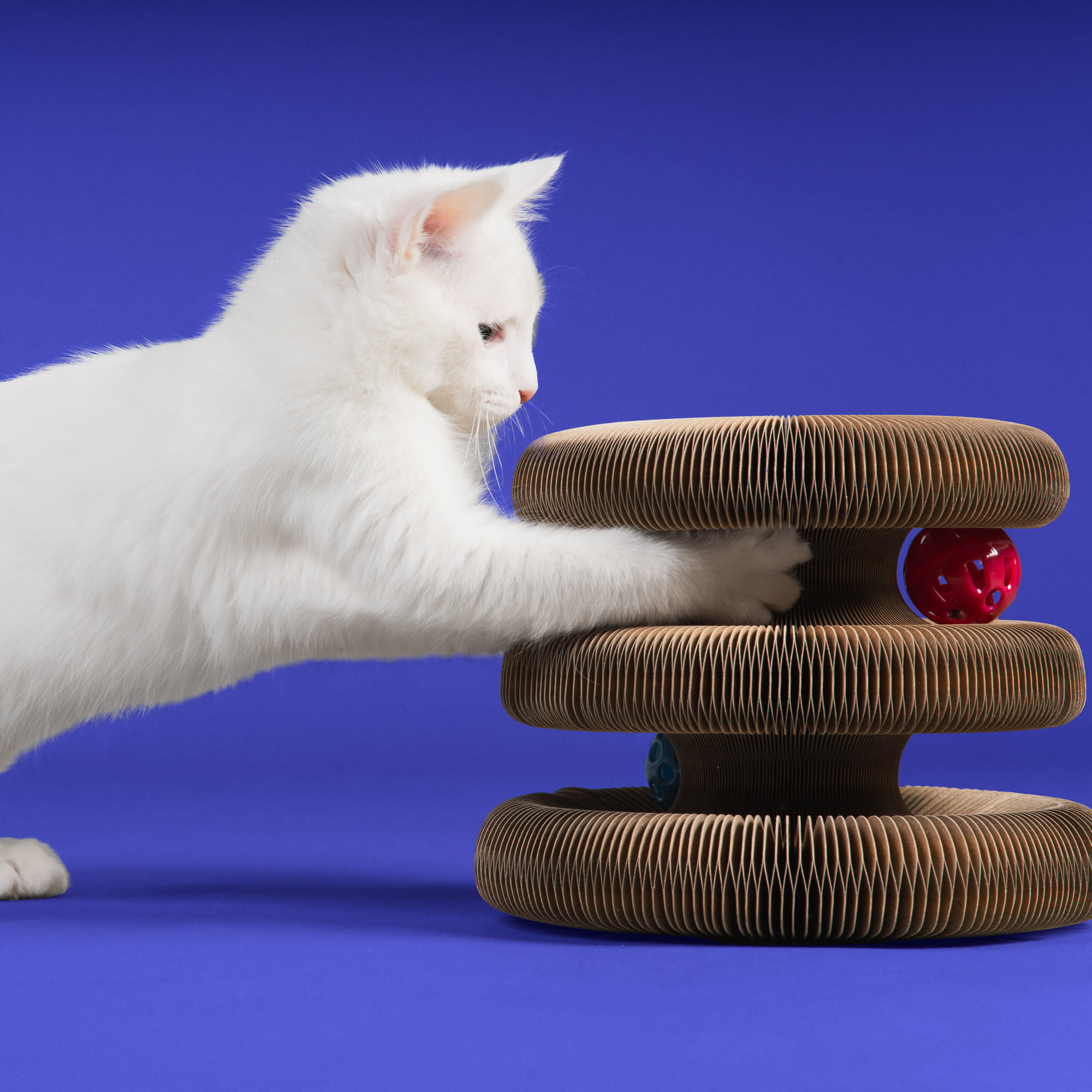 Jupiter Wavy Cat Scratcher, Blue, 2.95" H | Petco