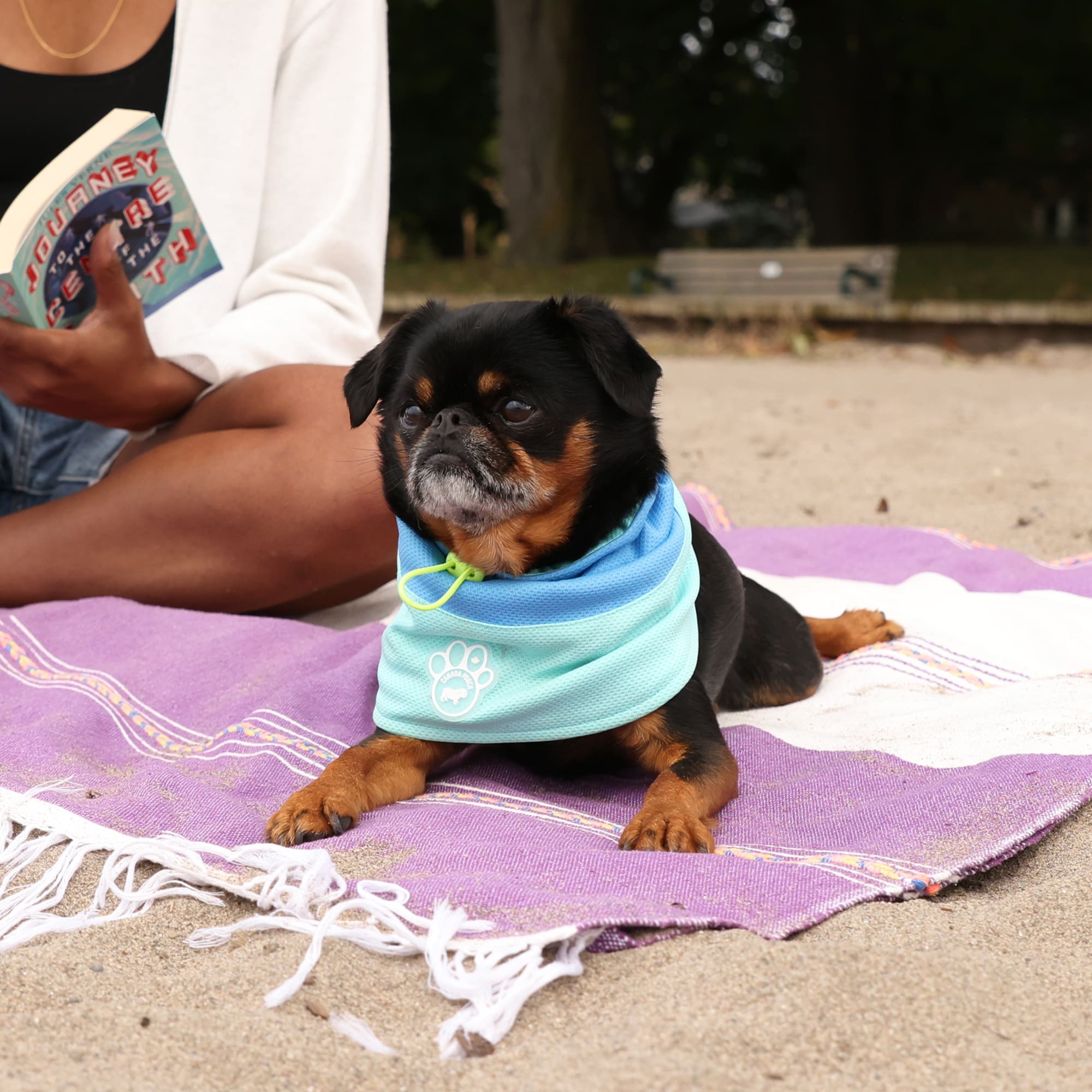 Canada Pooch Max Chill Cooling Dog Snood, Grey, Small | Petco