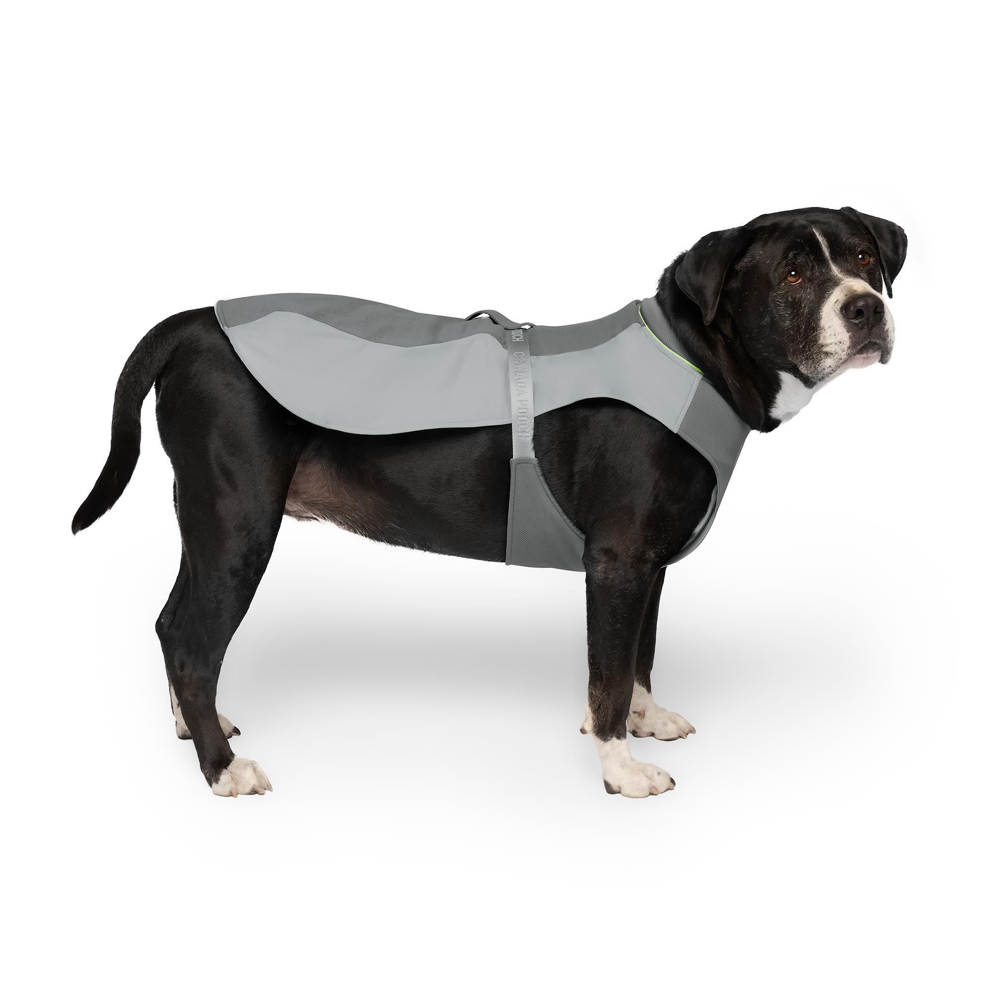 Canada Pooch Max Chill Cooling Dog Vest, Grey, X-Small | Petco