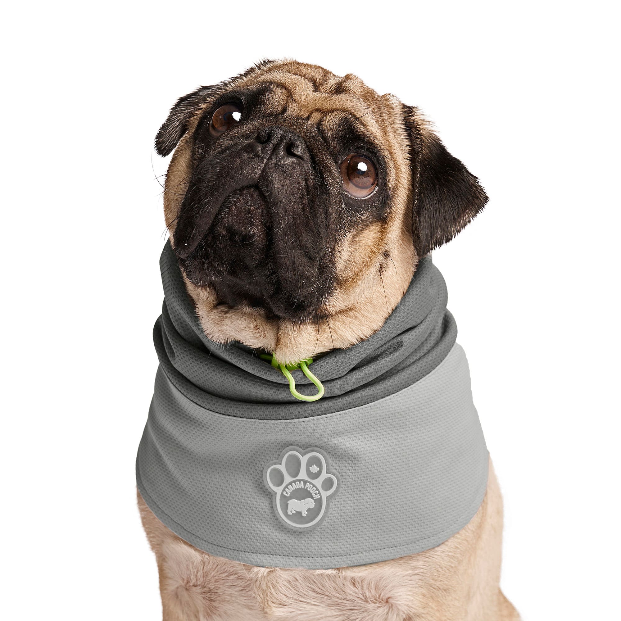 Canada Pooch Max Chill Cooling Dog Snood, Grey, Small | Petco