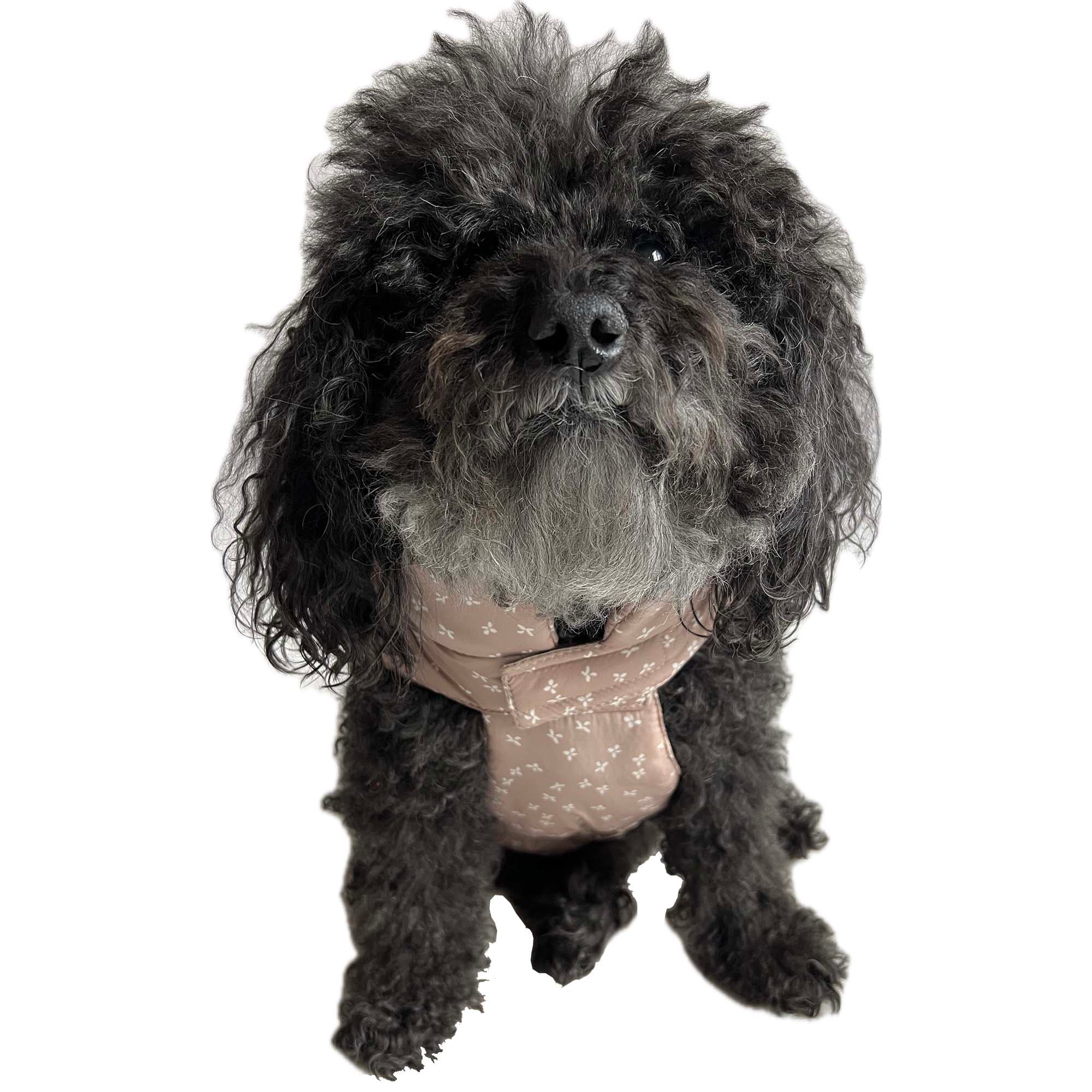 The Howls Floral Puffer Jacket for Dogs, Medium, Camel | Petco