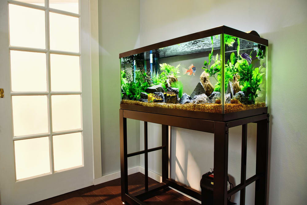 How A Padded Aquarium Mat Could Save Your Tank!