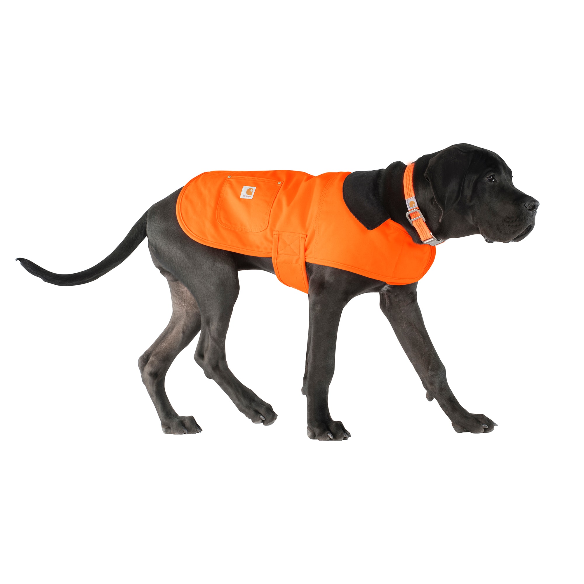 Carhartt Firm Duck Insulated Dog Chore Coat, Small, Hunter Orange