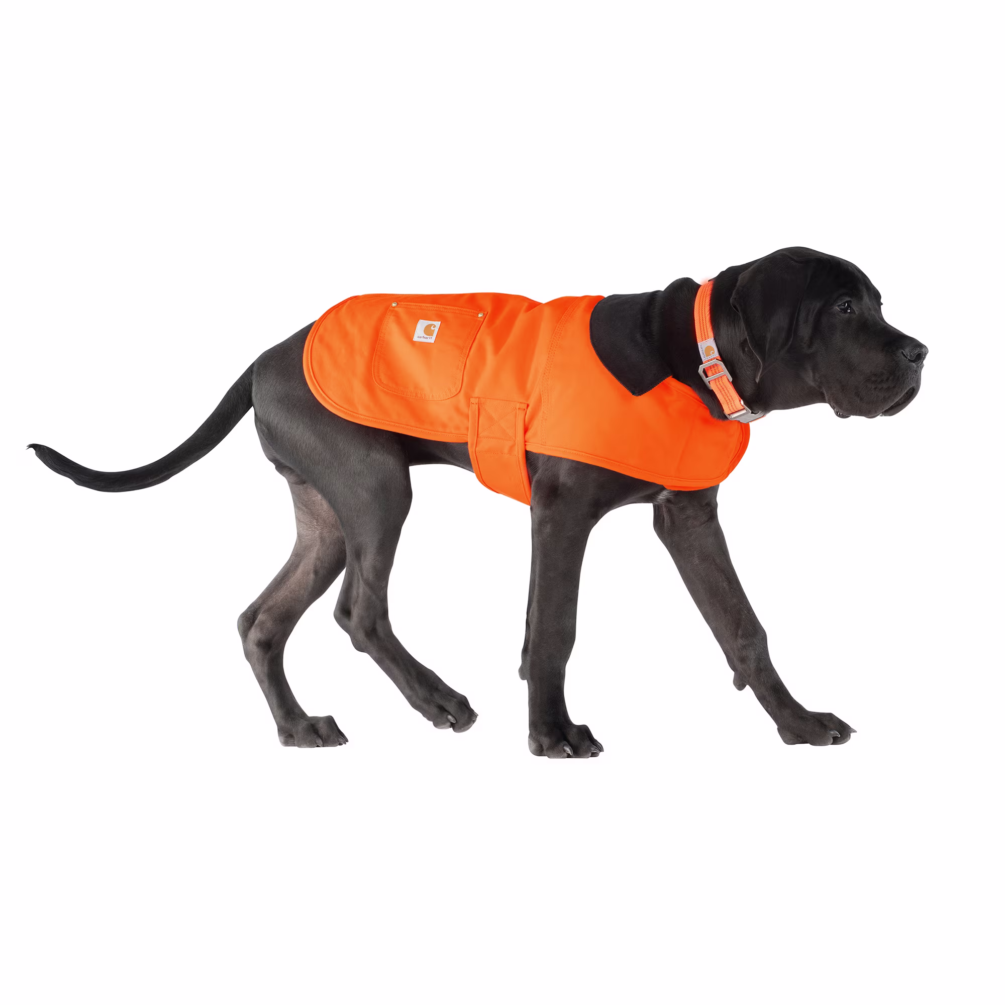 Duck Insulated Carhartt Chore Insulated Dog Coat Carhartt Dog