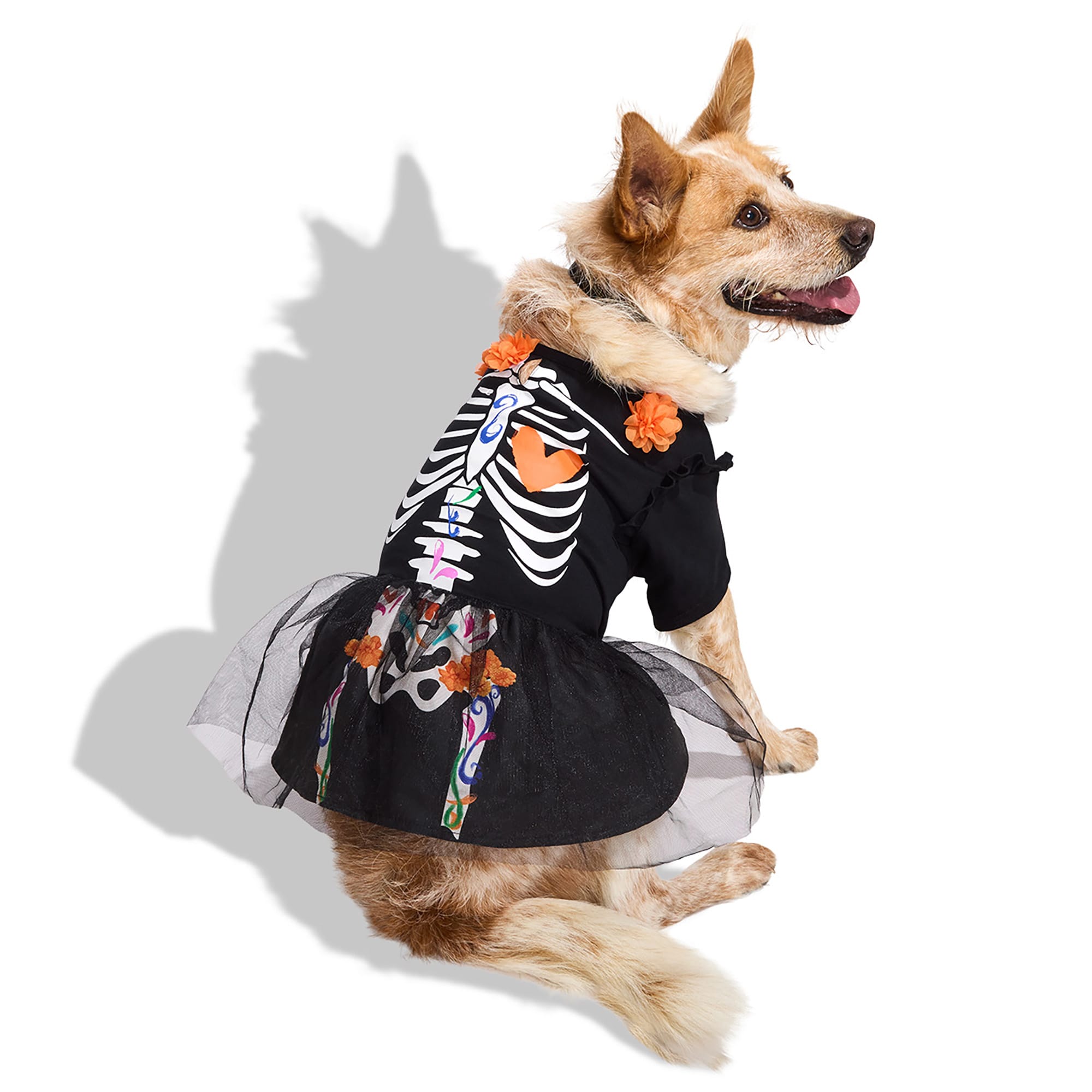 Bootique Dia de los Muertos Skeleton Pet Dress, Small Petco