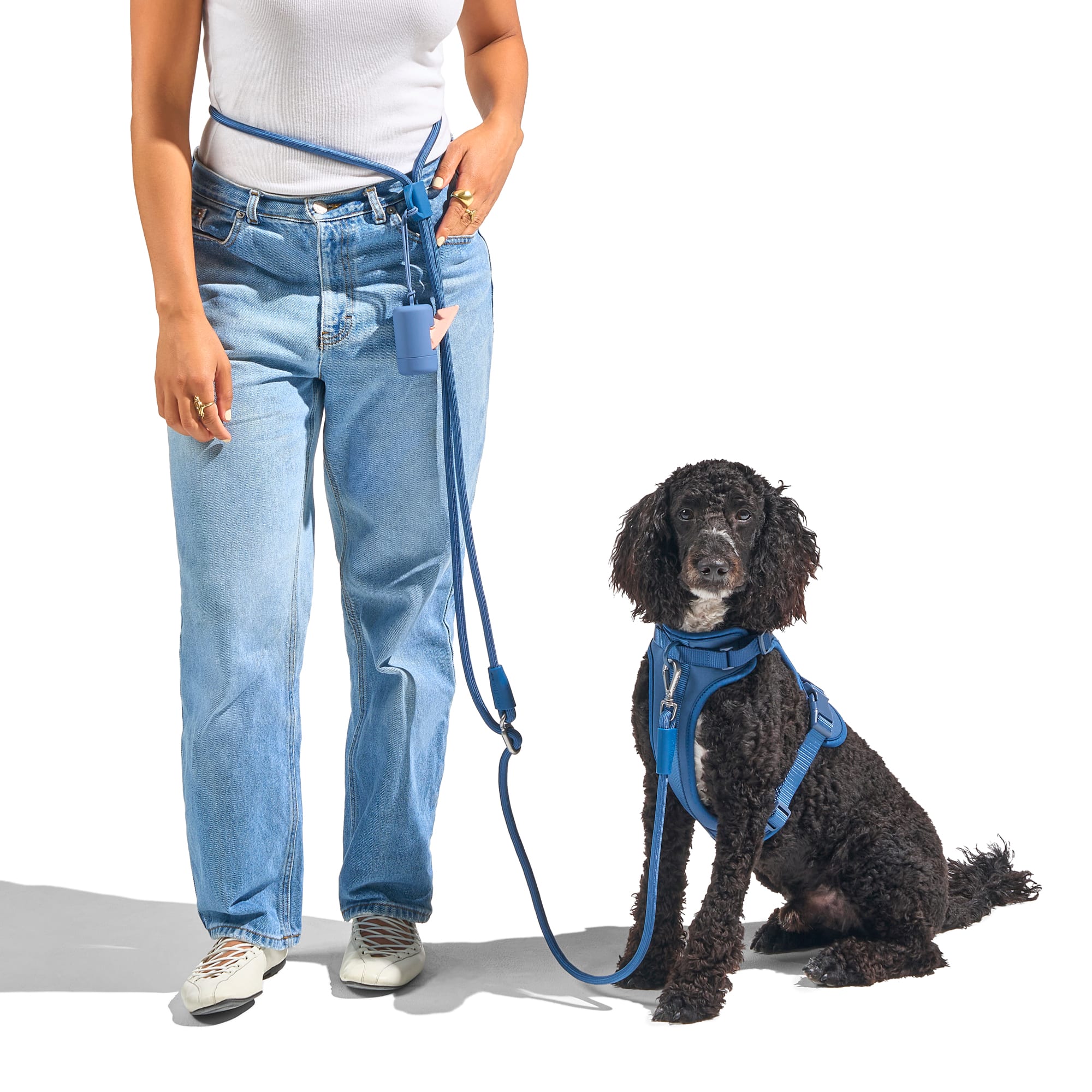 Wild One Hands-Free Rope Dog Leash, Black, 8.5 ft. | Petco