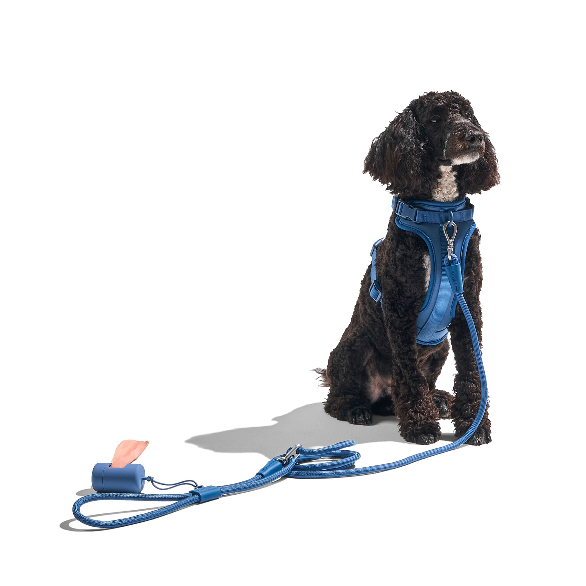 Wild One Hands-Free Rope Dog Leash, Navy, 8.5 ft.