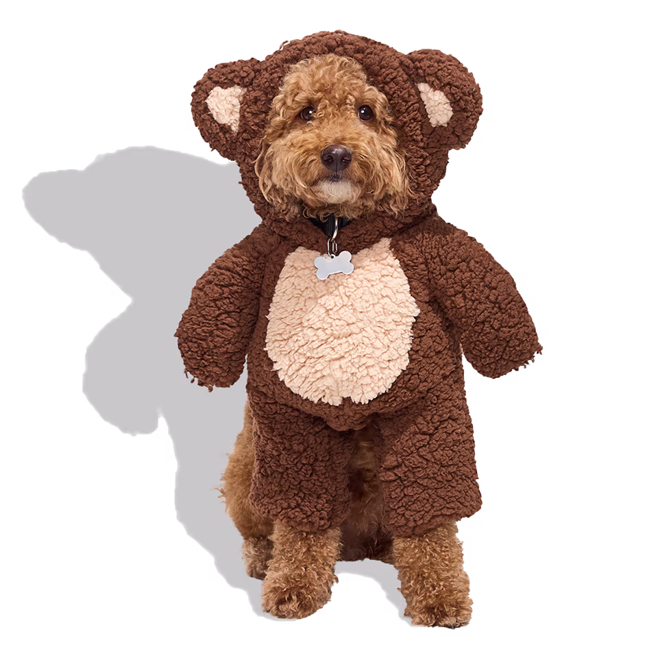 A dog in a brown teddy bear costume