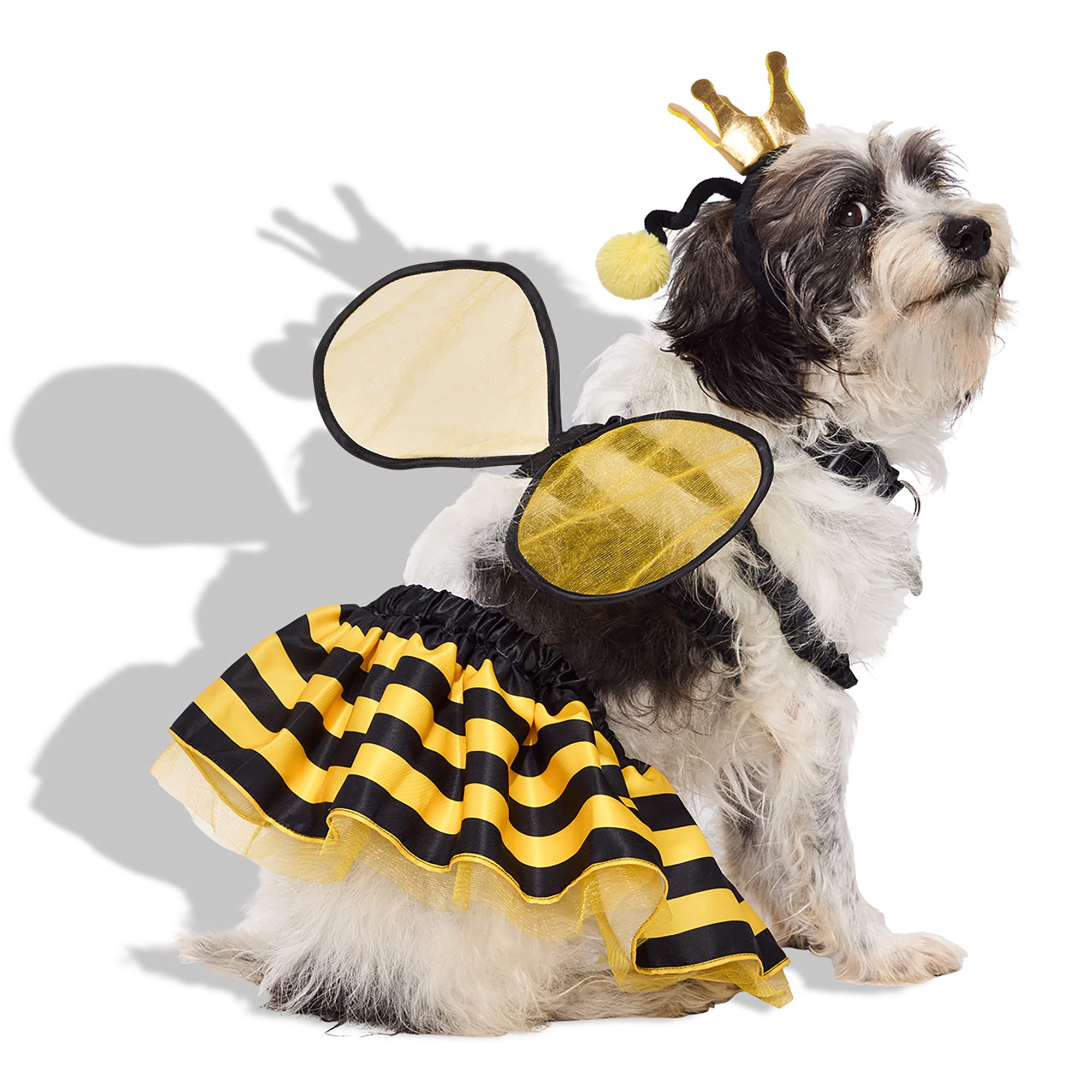 Bootique Queen Bee 3-Piece Pet Halloween Costume, Medium Petco