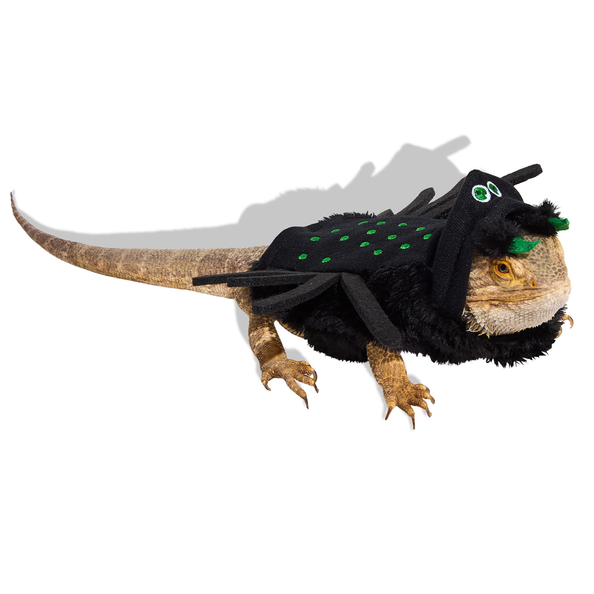 Bootique Spider Bearded Dragon Halloween Costume Petco