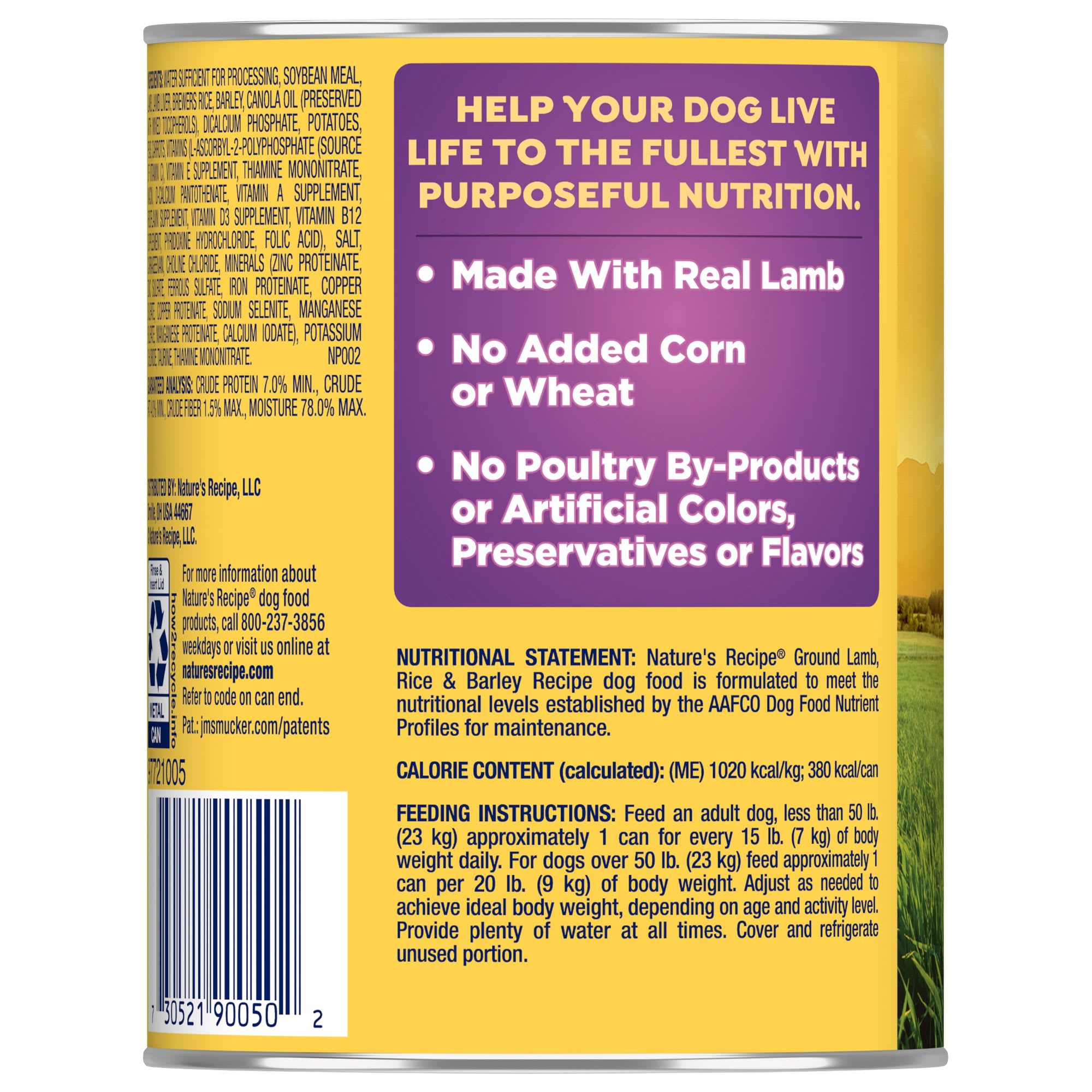 Natures hotsell recipe petco