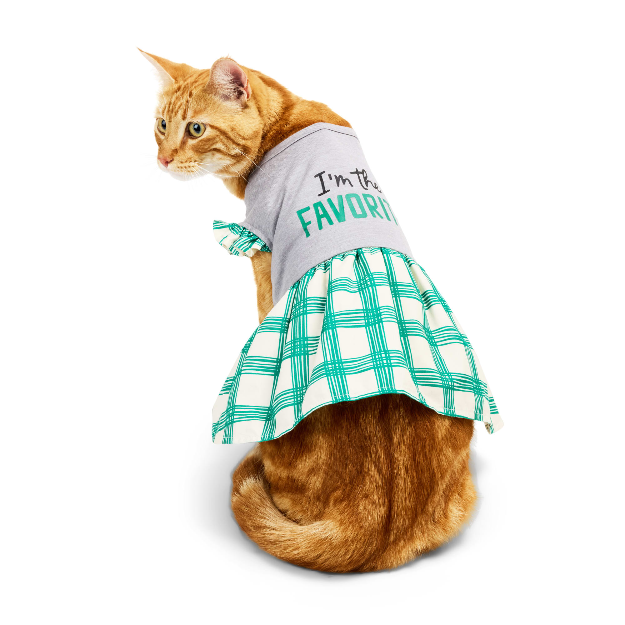 cat dress Soft Cotton Cute Cat Dress Sphynx Cat Clothes main image 0
