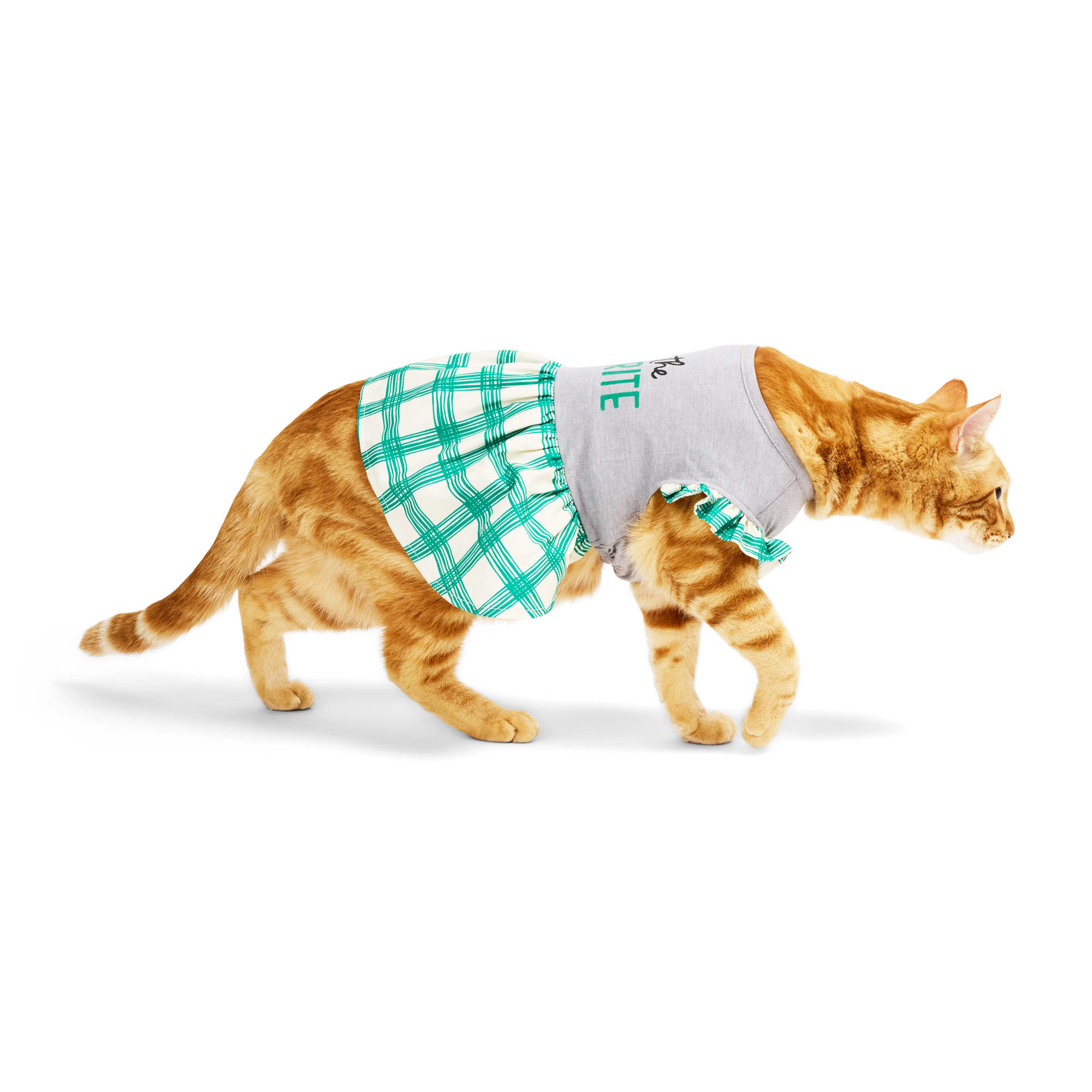 green emerald velvet dress Cat Clothing Pawgy Pets Festive Mirror work Sando: Mustard (Cat) main image 1