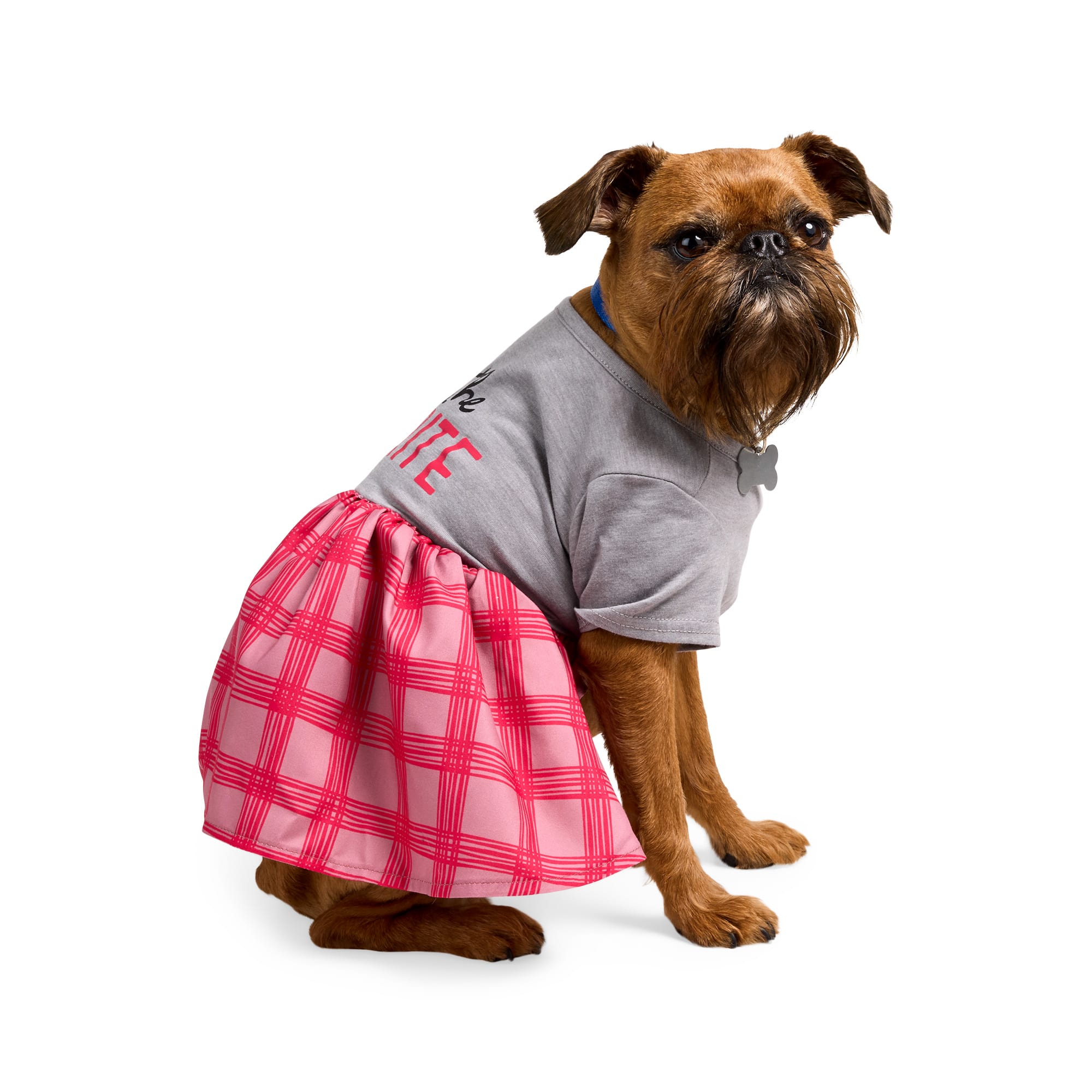 YOULY I'm the Favorite Plaid Pet Dress, XX-Small | Petco